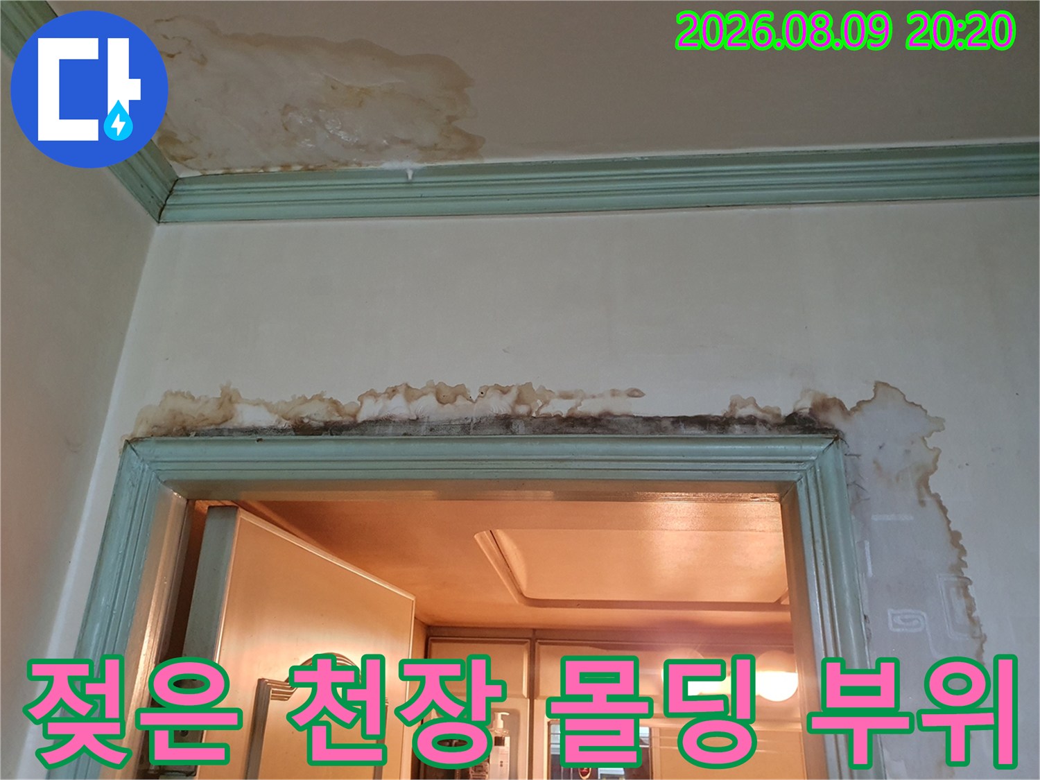 구리 인창동 현장-천장 몰딩과 문틀 주변의 곰팡이와 누수 흔적