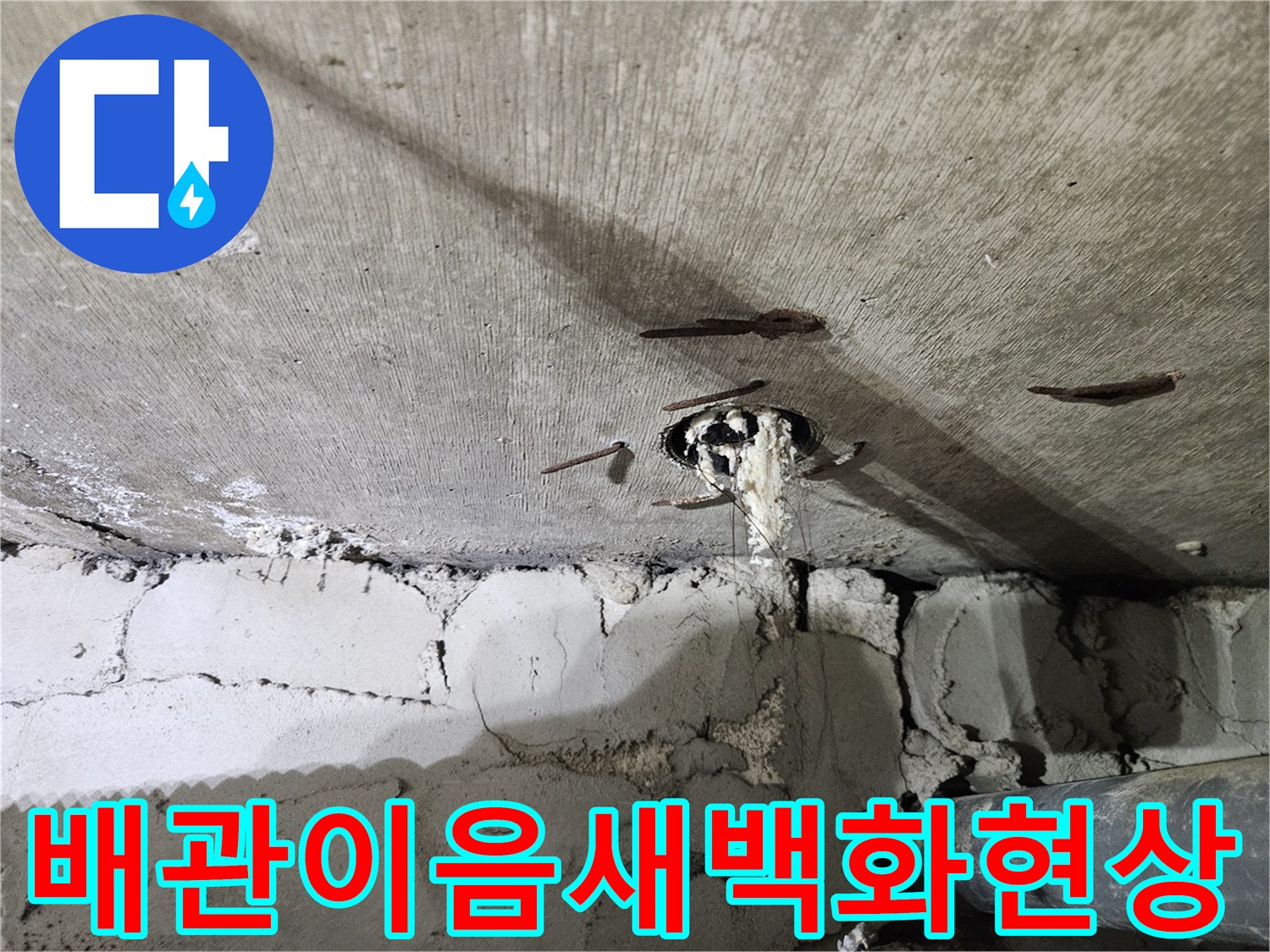 천장 콘크리트 바닥과 연결된 하수 배관 틈새에서 물이 새어 나와 굳어진 모습