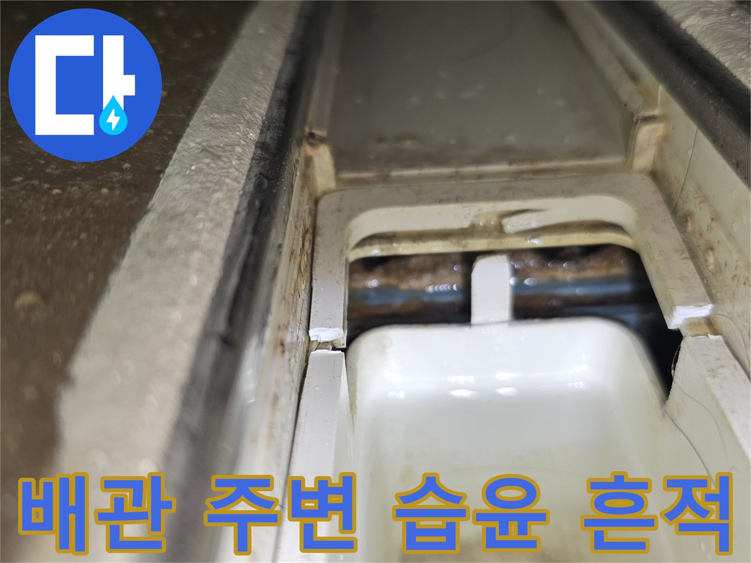 천장-내부-배관-주변의-습윤한-상태