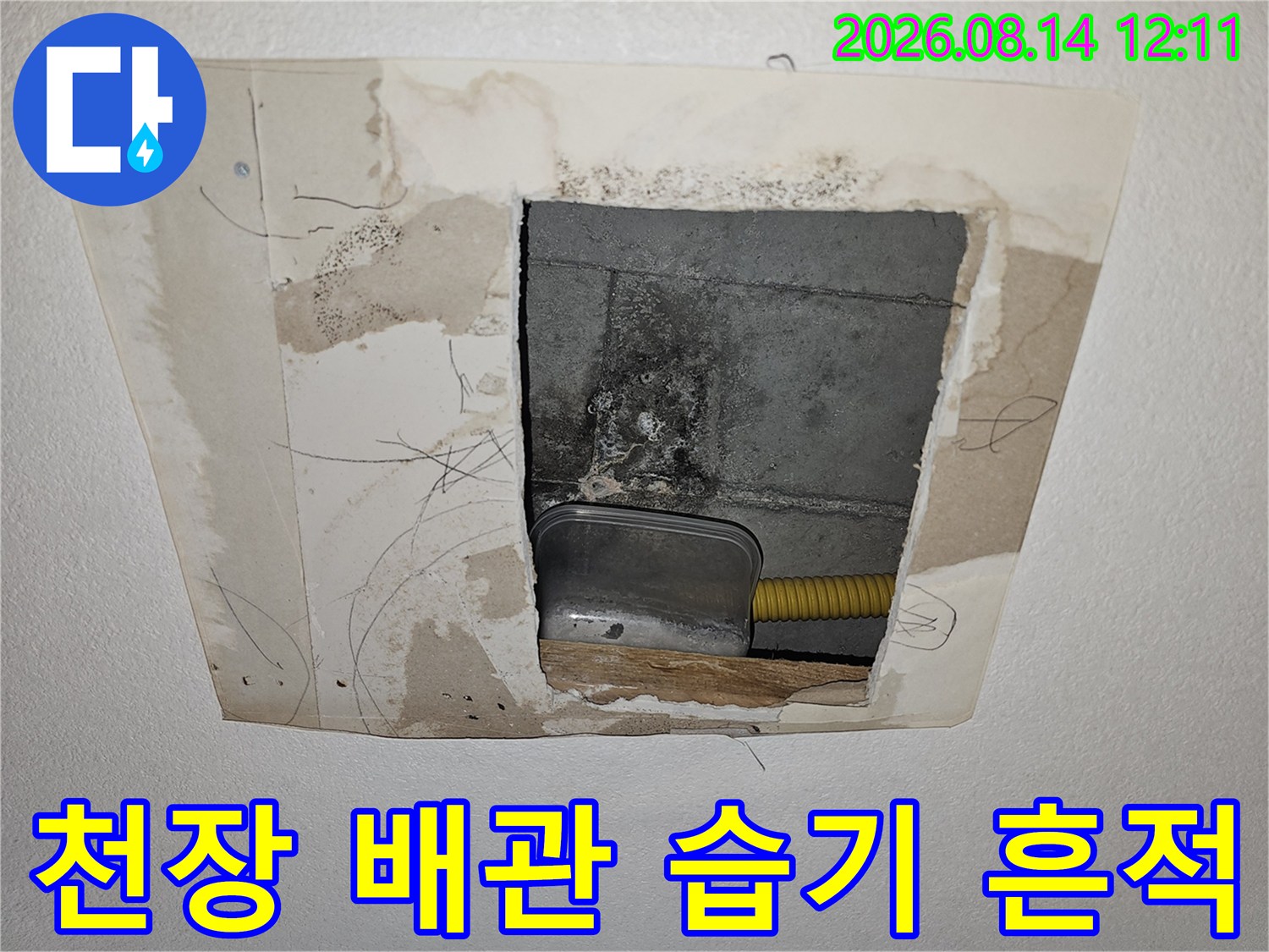 콘크리트 천장 타공 부위에서 보이는 배관과 습기 얼룩입니다.