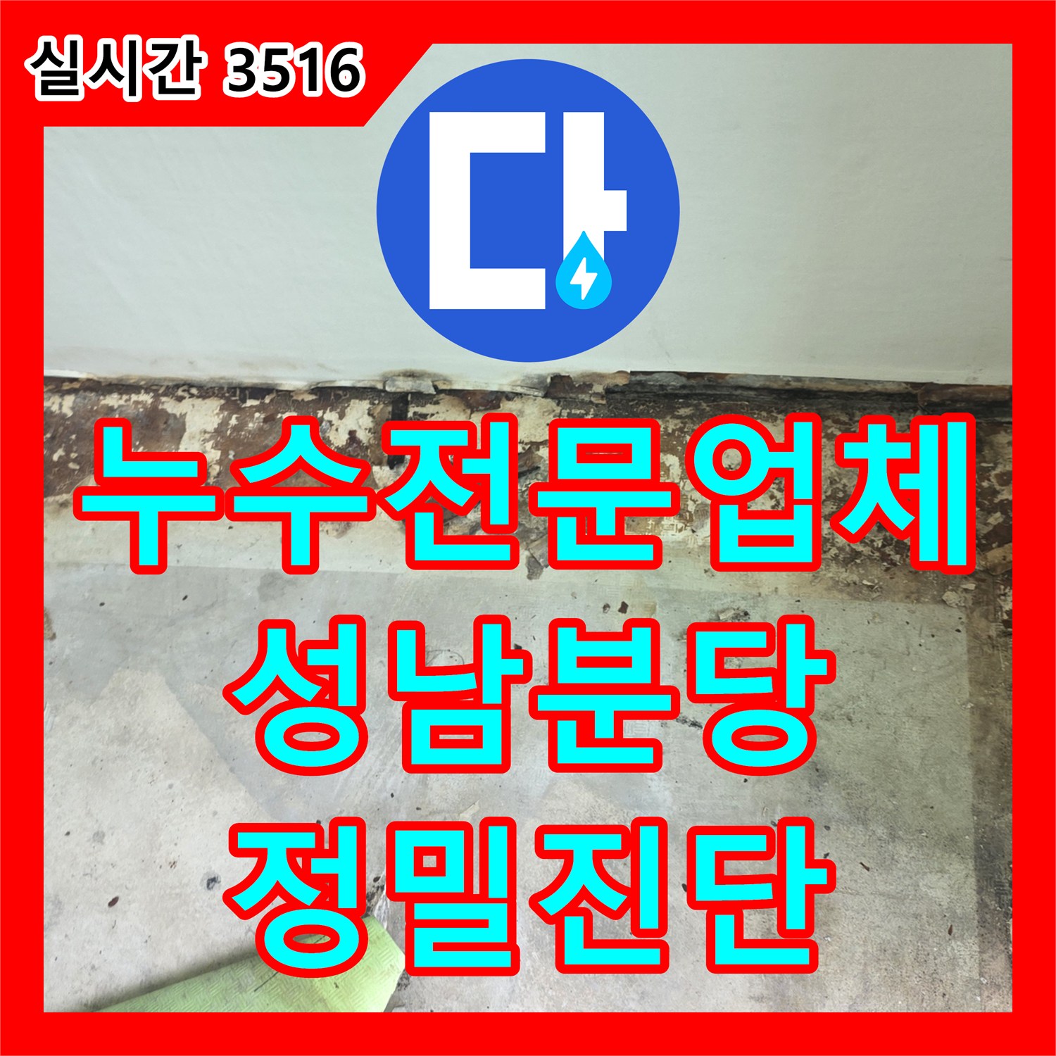 누수전문업체 베란다 벽면 도장 박리와 곰팡이 원인을 찾기 위한 정밀 진단 경기 성남시 분당구 정자동