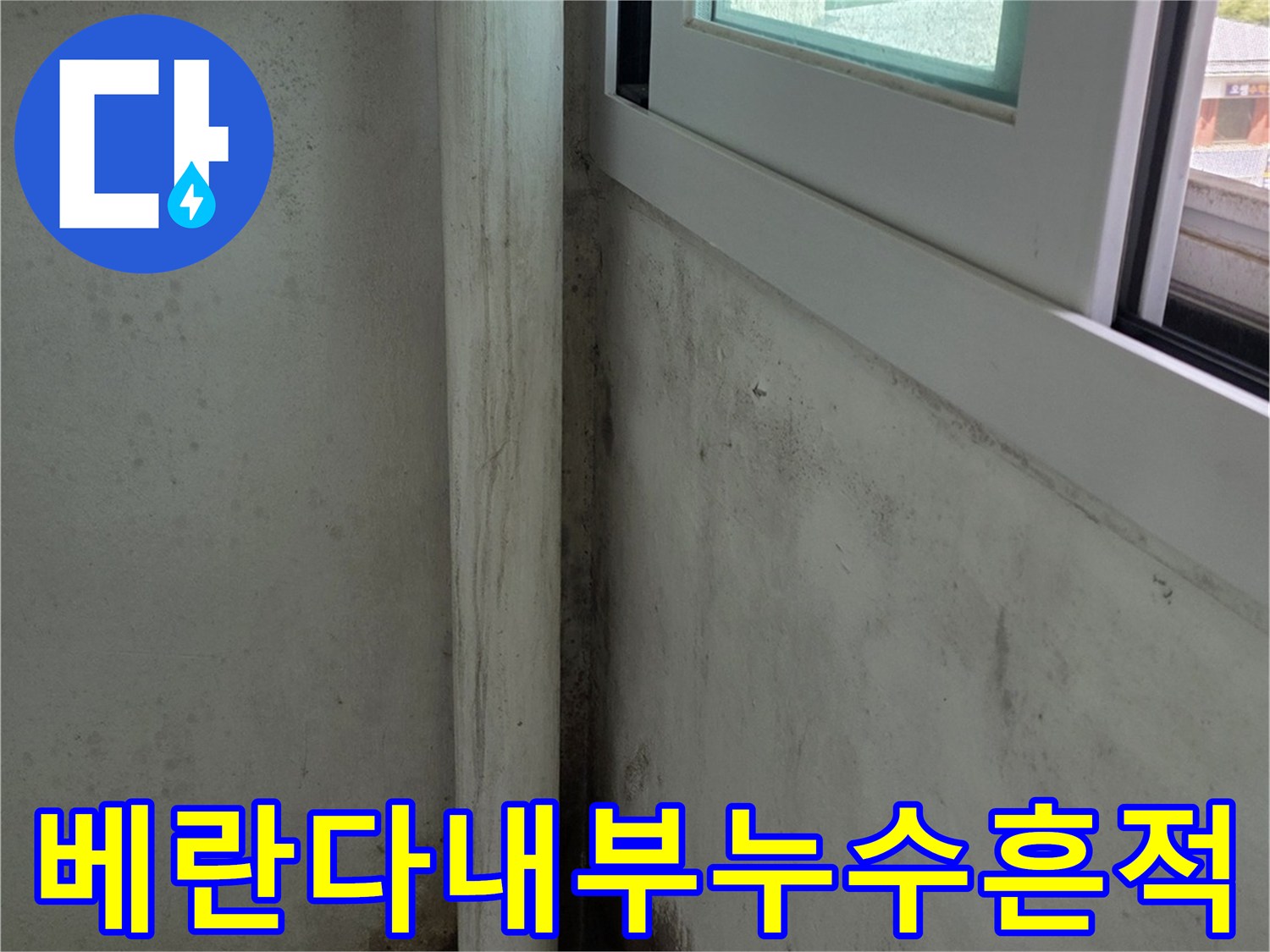 베란다-천장과-우측-모서리-벽면에-형성된-진한-곰팡이-군락