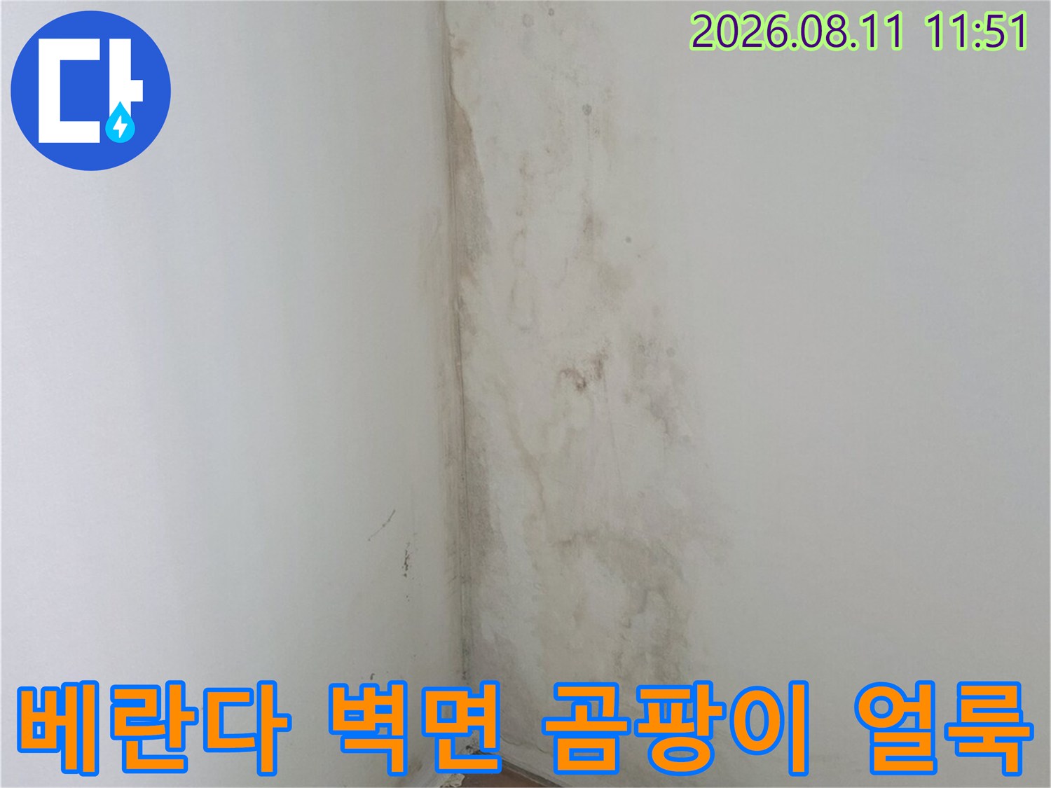 분당 정자동 아파트 베란다 벽면에 발생한 곰팡이와 습기 얼룩 상태입니다.