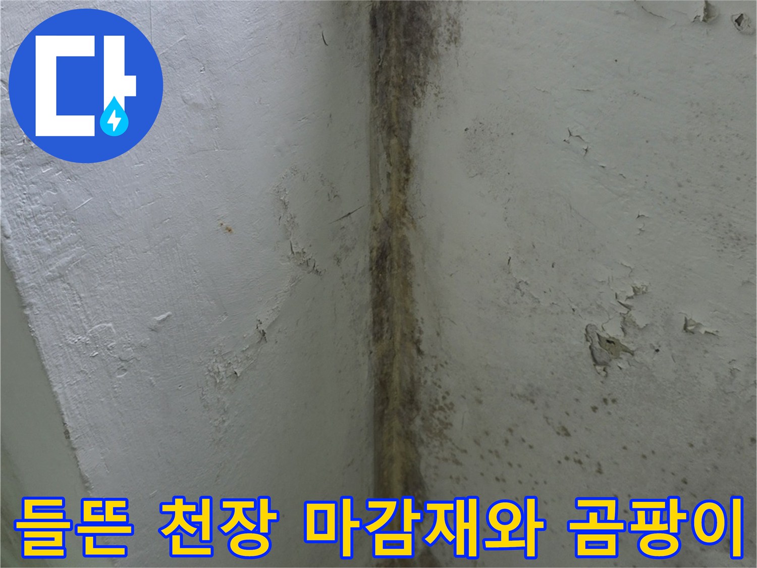 습기로-인해-부풀어-오른-베란다-천장의-마감재와-검은색-곰팡이-얼룩