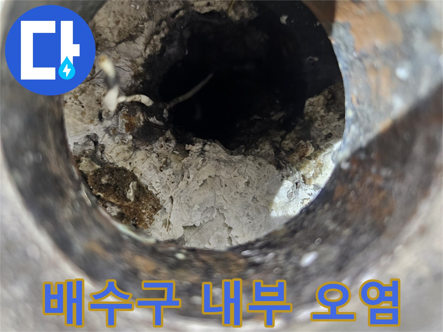 욕실-배수구-내부의-이물질과-오염된-상태