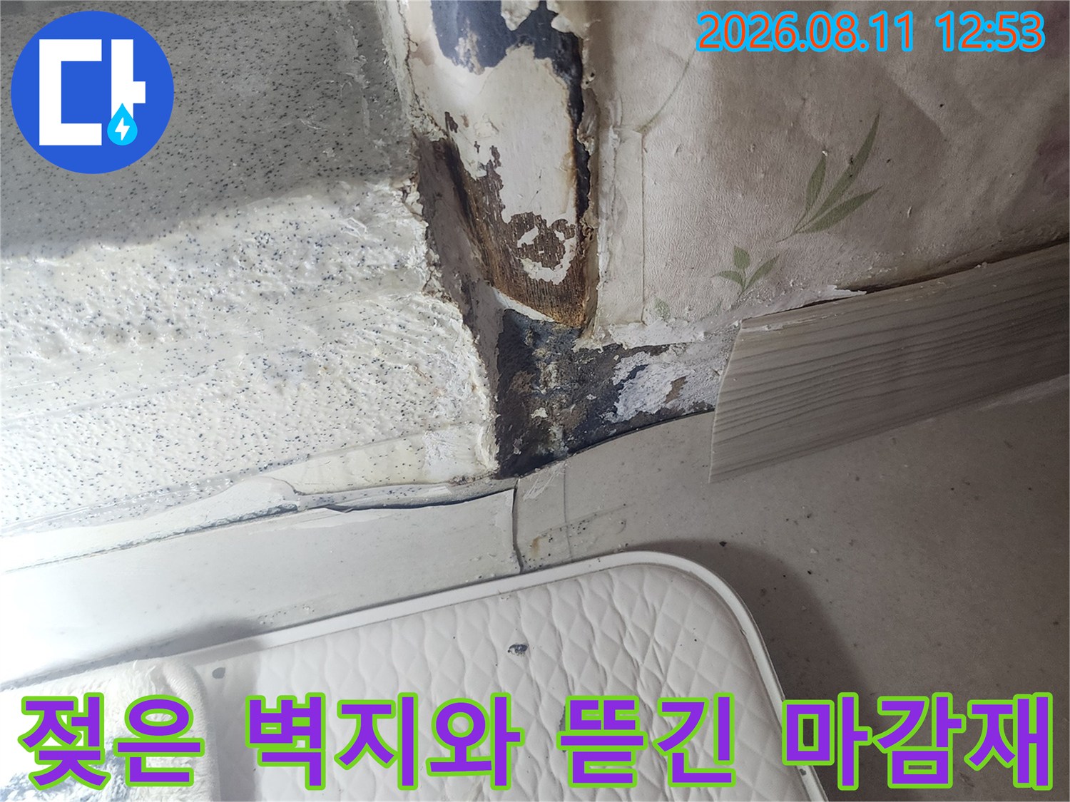 물기에 젖어 변색되고 찢어진 벽지 부분