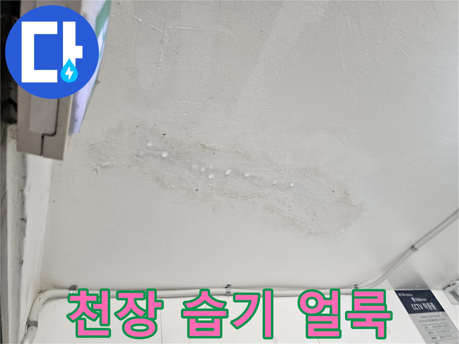 천장에 발생한 물샘 흔적과 얼룩 사진