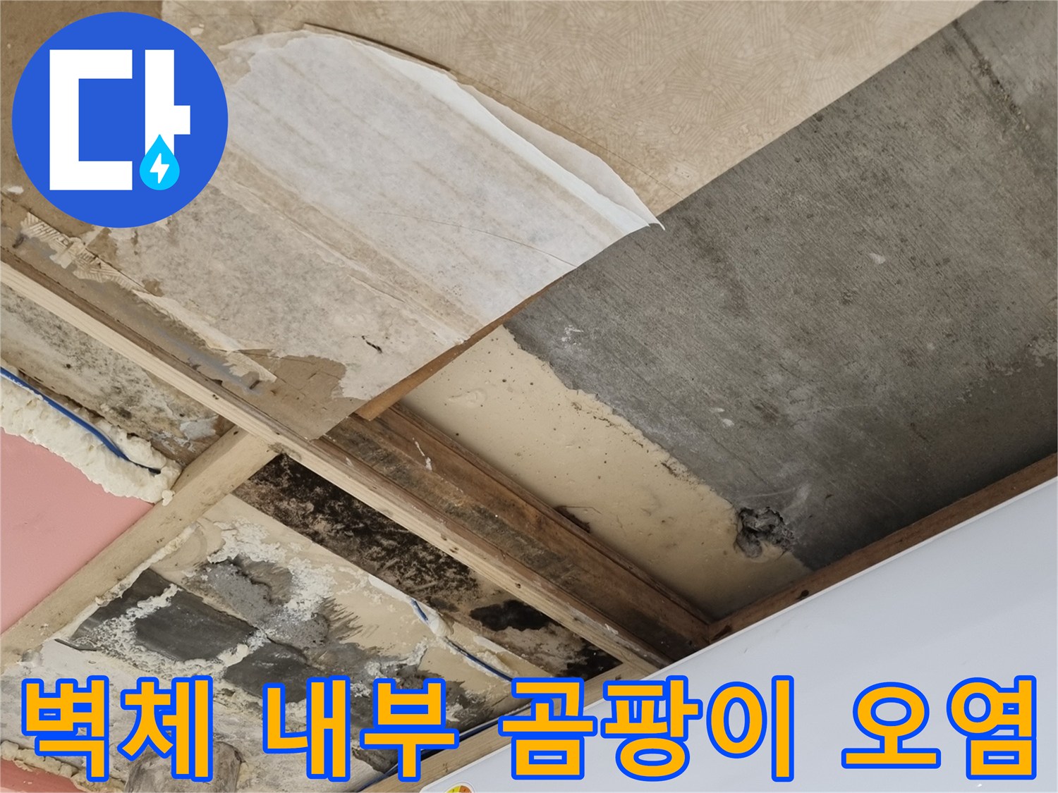 뜯겨나간 벽면-배관 주변의 곰팡이 및 오염된 단열재
