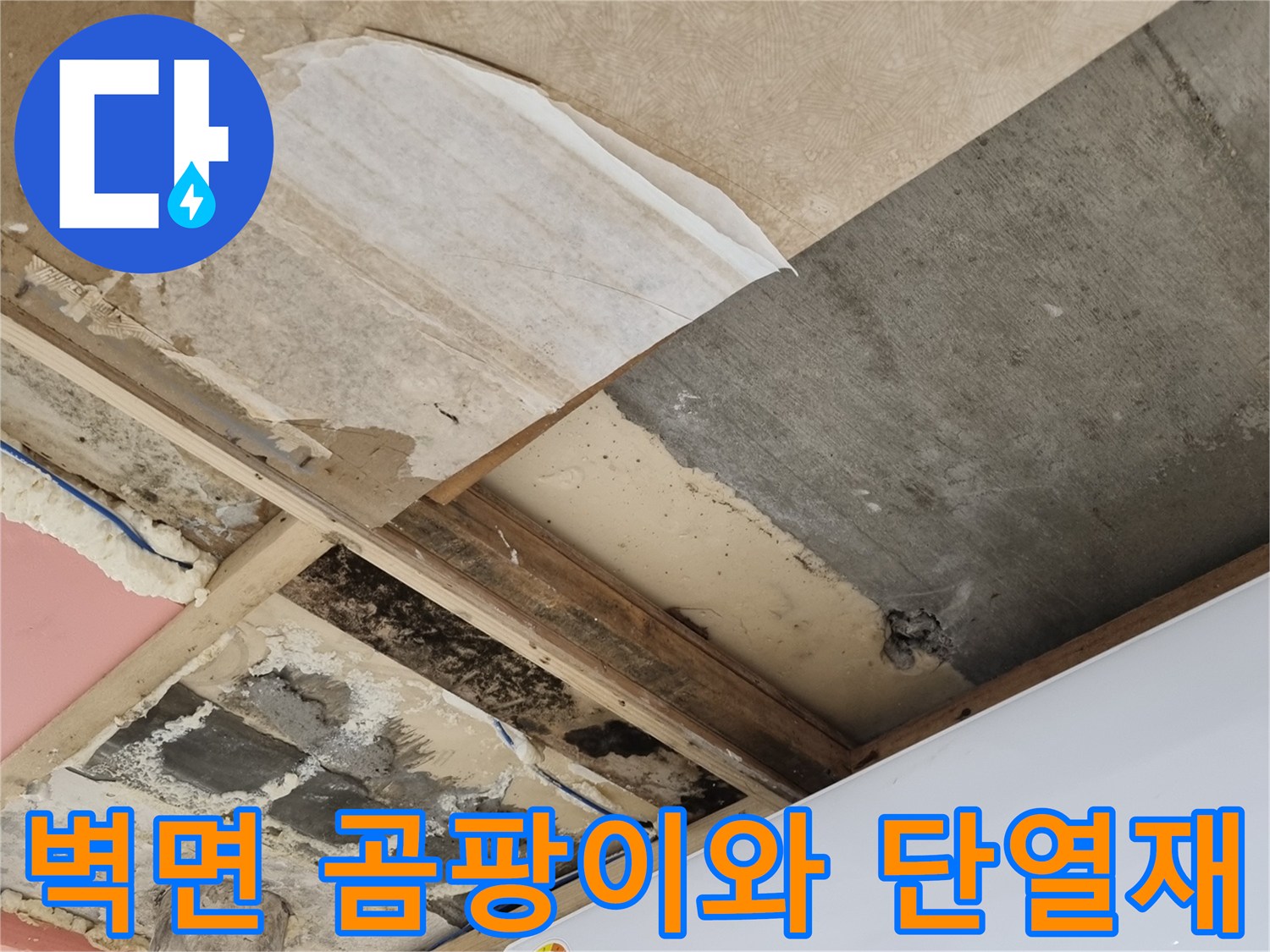 벽체-내부-단열재-및-곰팡이-발생-부위