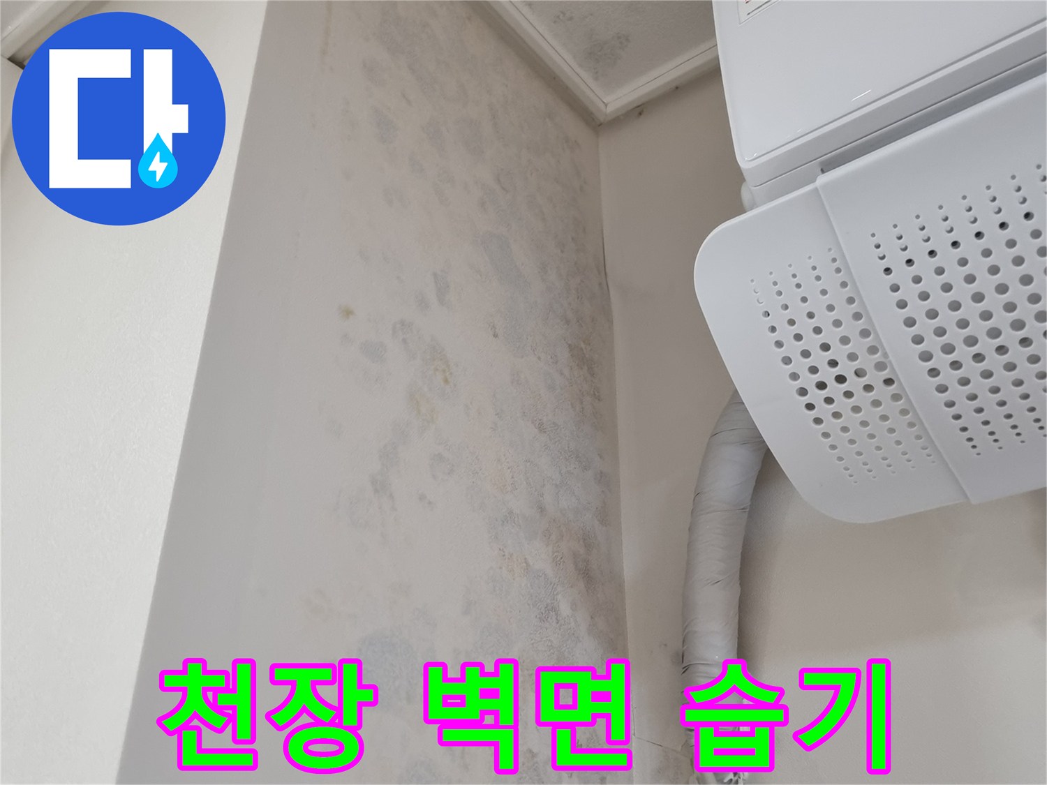 에어컨-실내기-밑부분-벽지-곰팡이-현황