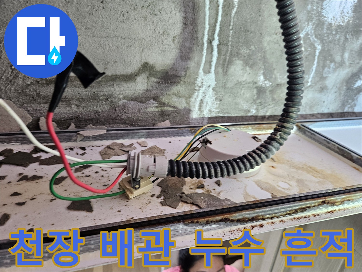 양주 옥정동 화장실-천장 내부 배관 주변의 습기와 오염 상태를 보여주는 사진입니다.