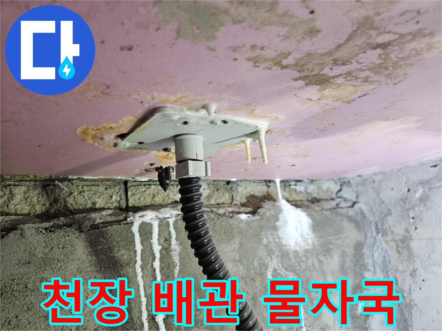 양주 옥정동 화장실 천장-배관 주변의 석회 퇴적물과 물샘 흔적
