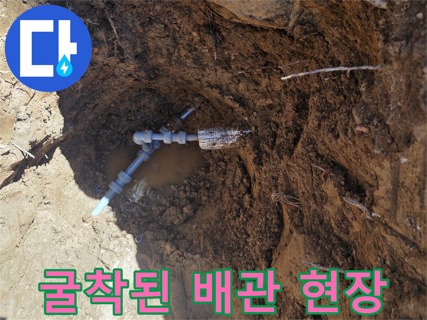 나무 뿌리 근처-노출된 배관 연결 부위의 누수 상태