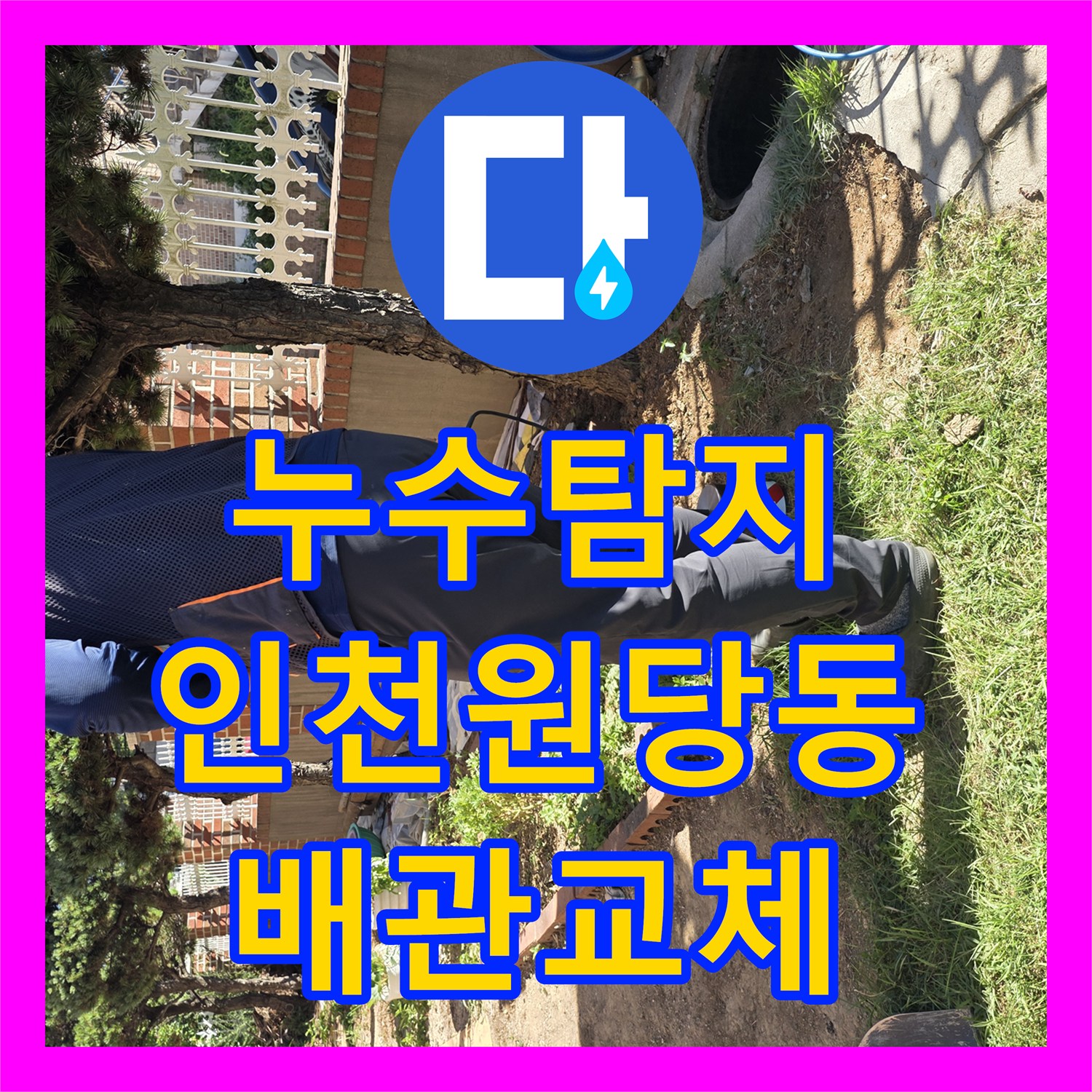 누수탐지 마당 나무 주변 지하 배관 파손 부위를 찾아 수선한 인천 서구 원당동 현장