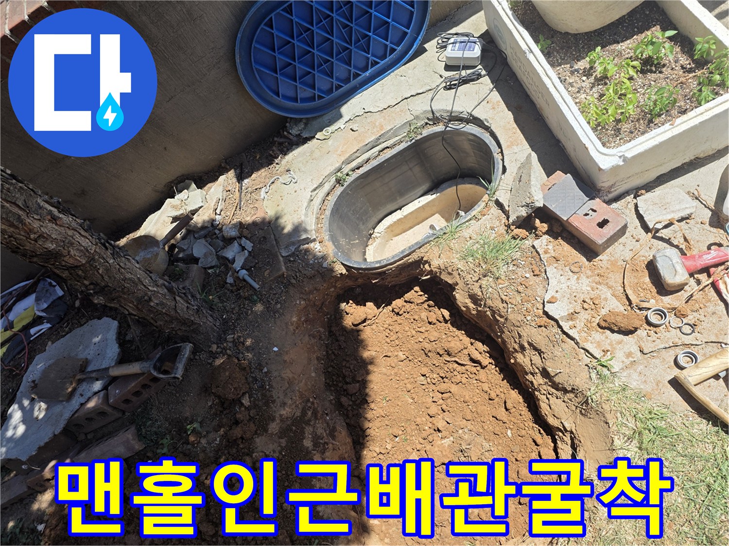 맨홀주변-나무뿌리-사이-배관을-찾기위한-굴착작업-현장