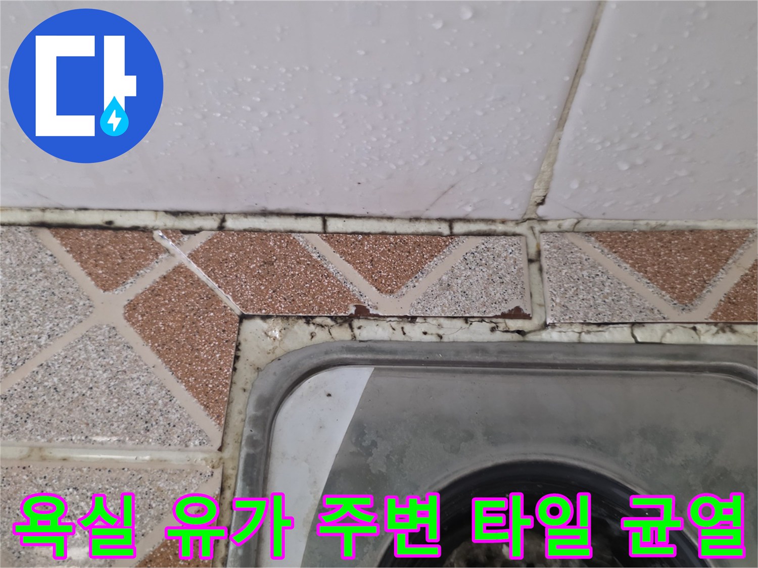 욕실-바닥-유가-주변의-타일-줄눈-탈락과-습기-상태
