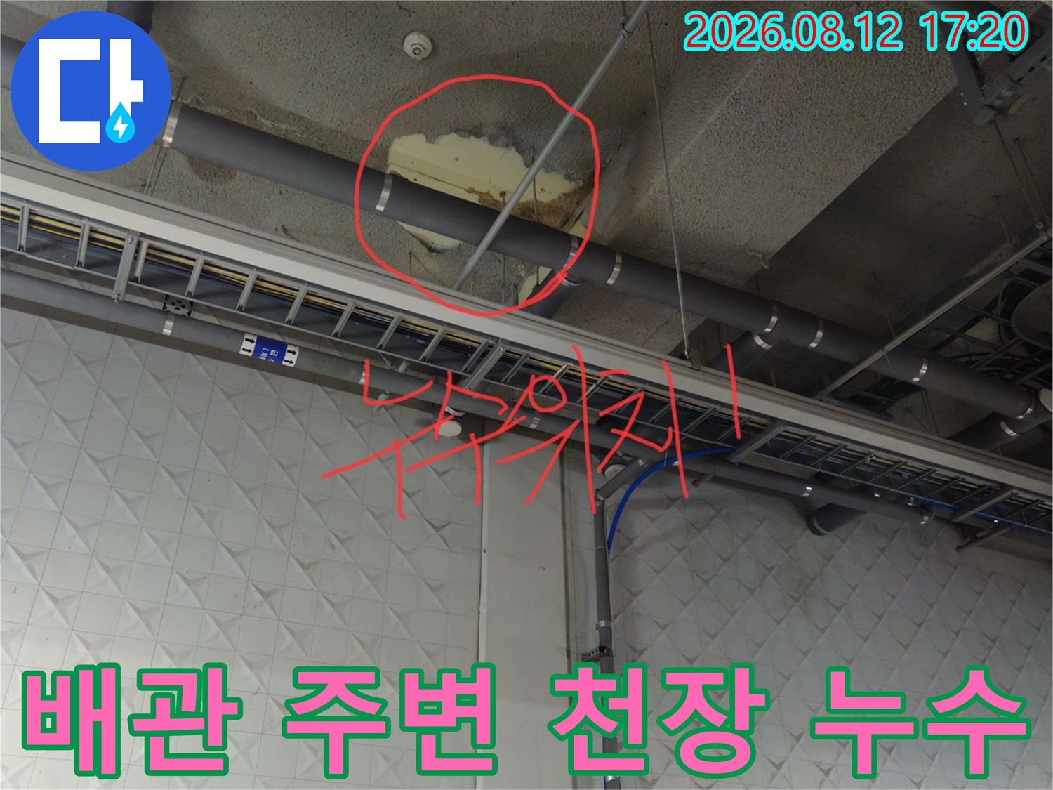 과천 별양동 지하주차장 배관 주위의 천장 슬라브 누수 흔적