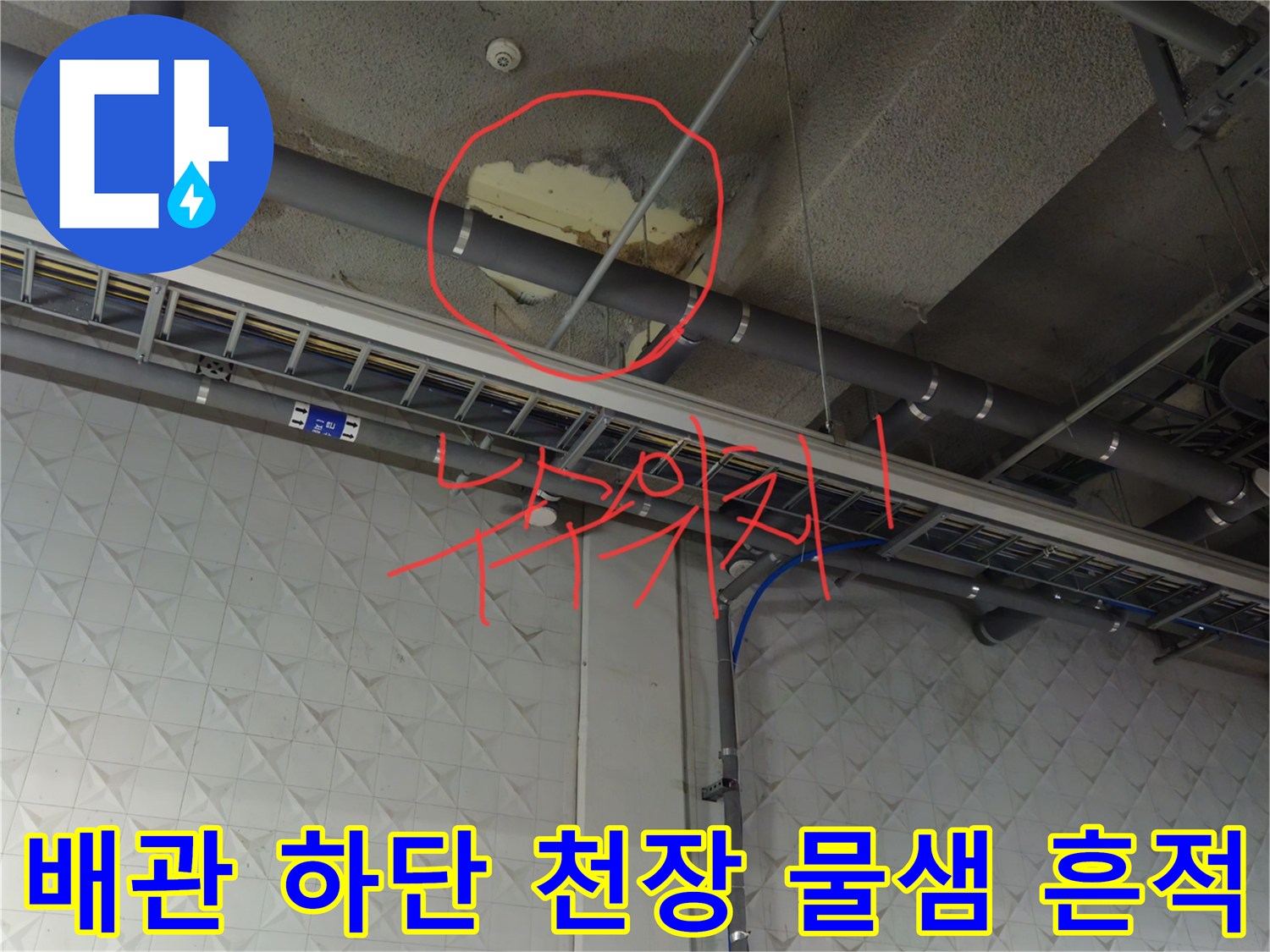 배관 주변 슬래브에 발생한 누수 및 습기 침투 흔적