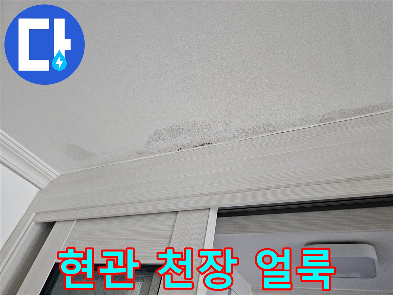 안산 단원구 현관 중문 천장의 누수 흔적과 곰팡이 발생 상태