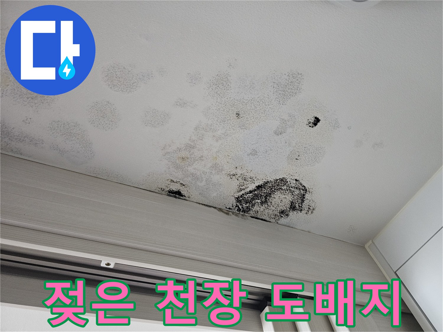 중문-천장-도배지의-습기-흡수로-된-변색-상태