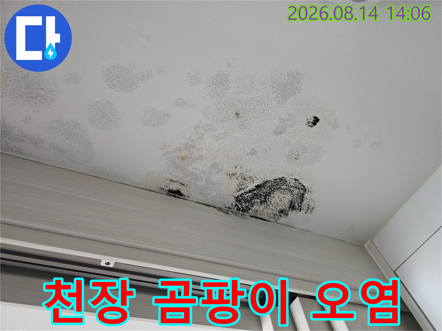 천장 마감재에 발생한 검은색 곰팡이와 습기 얼룩