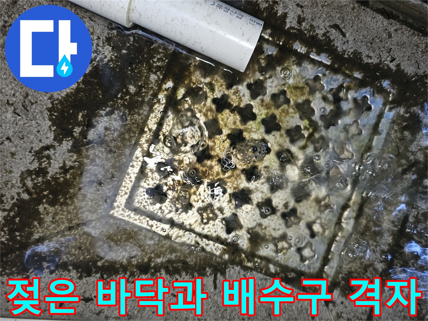 배수구 주변에 고여있는 물과 오염된 바닥
