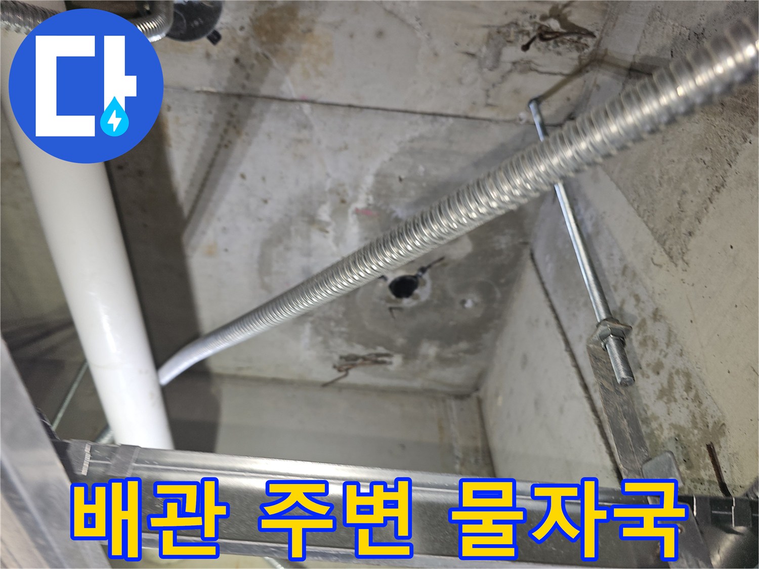 천장-내부-배관-주변의-습기-및-오염-흔적