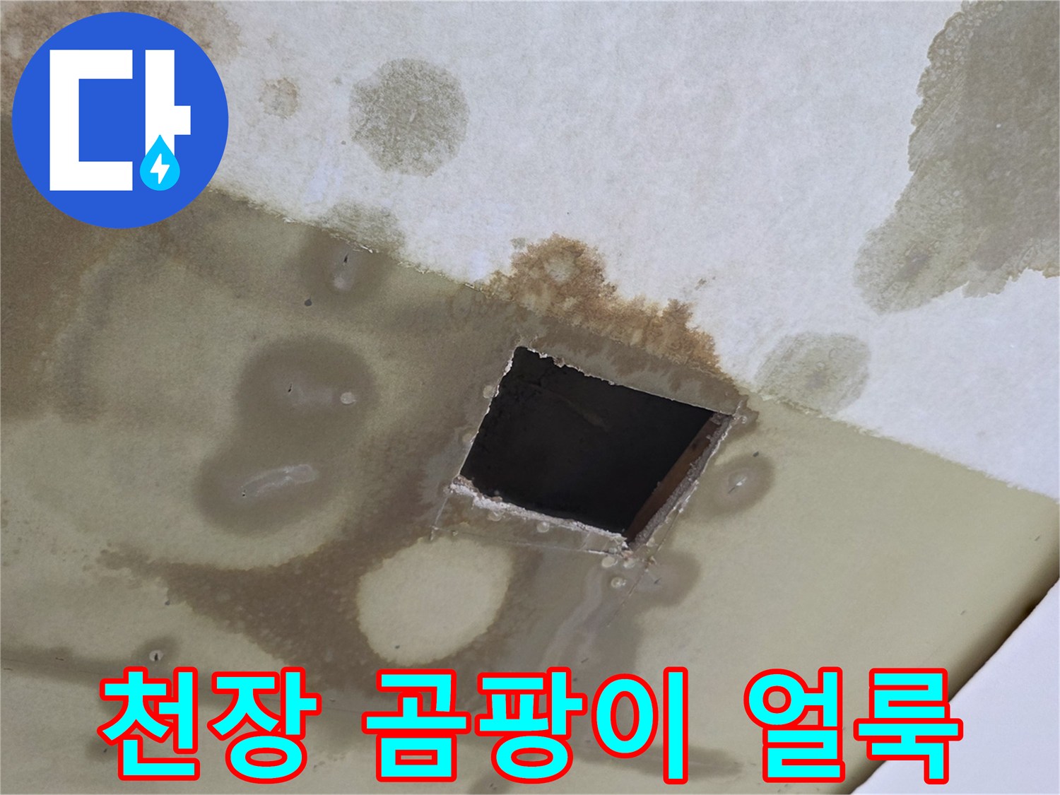 남양주 별내동 현장의 천장 곰팡이와 물얼룩 상태입니다.