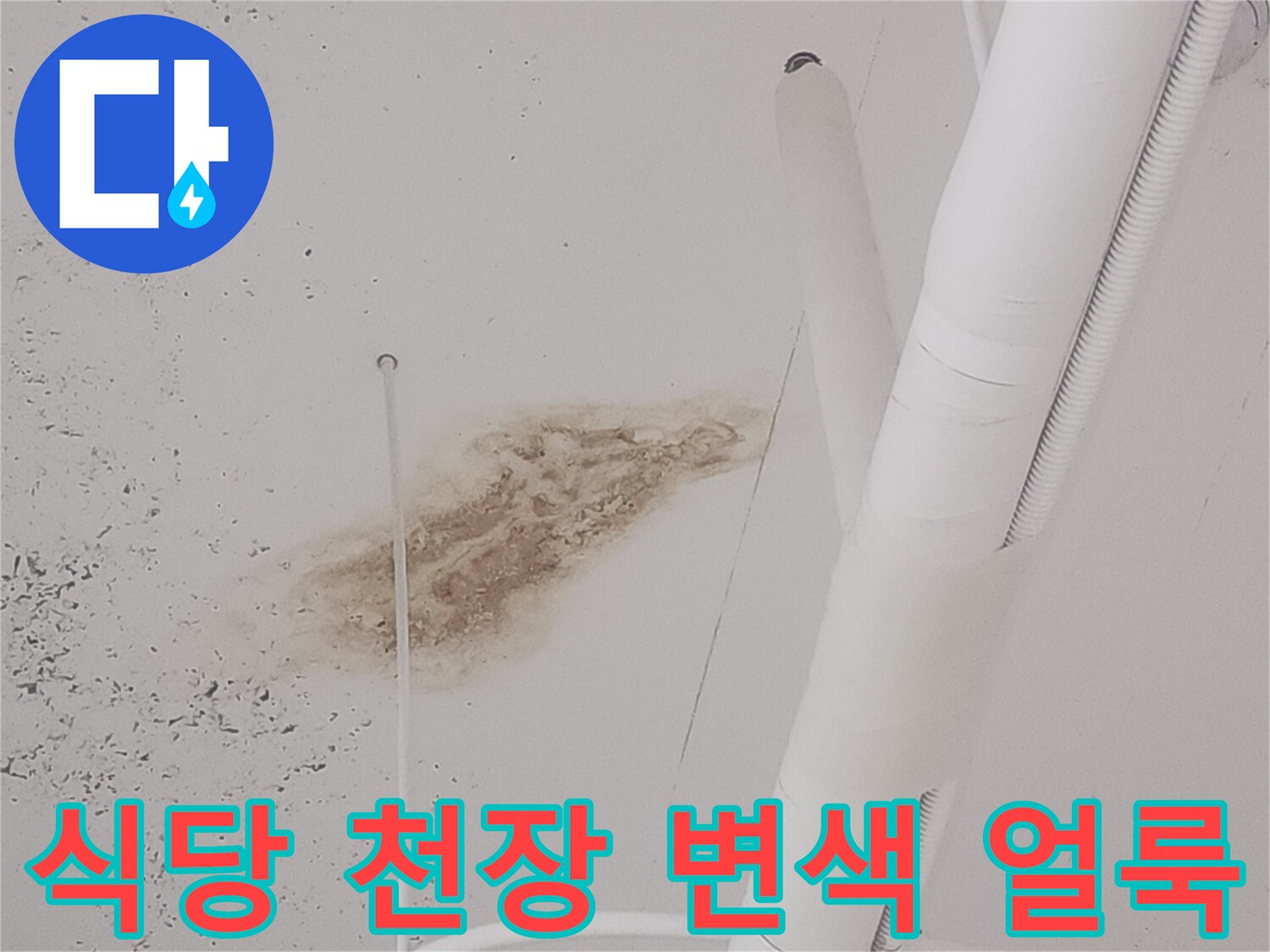 고양시 덕양구-식당 천장 배관 주변의 갈색 누수 흔적