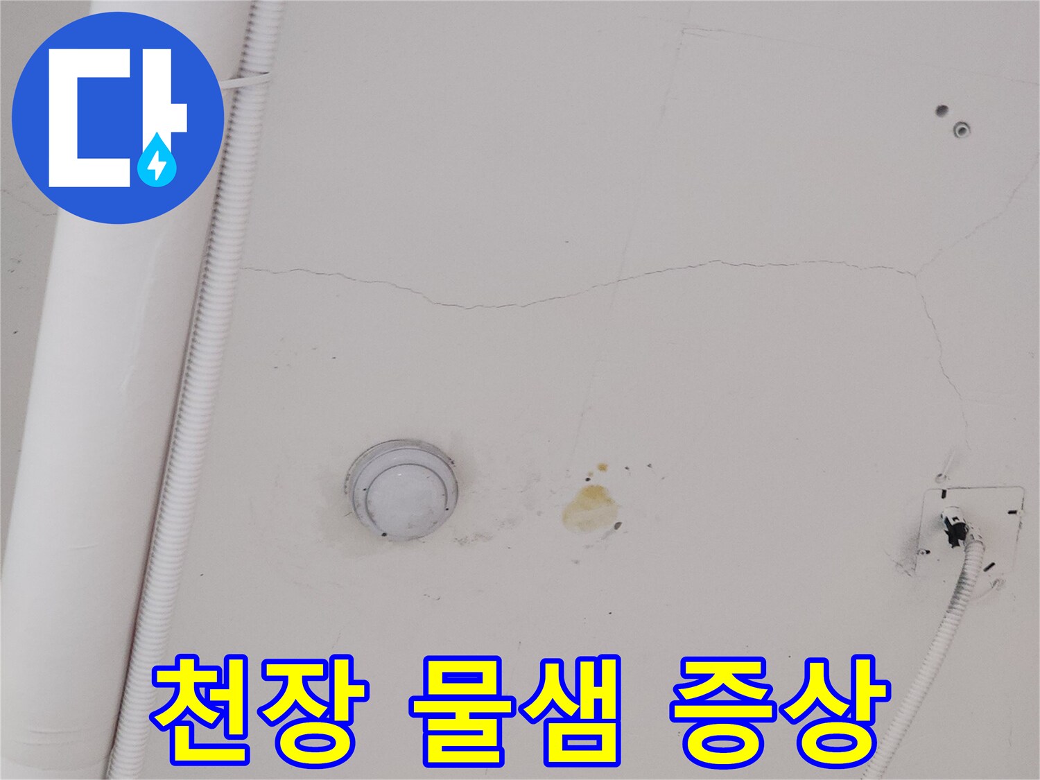 지축동 식당-천장 누수 얼룩 부위