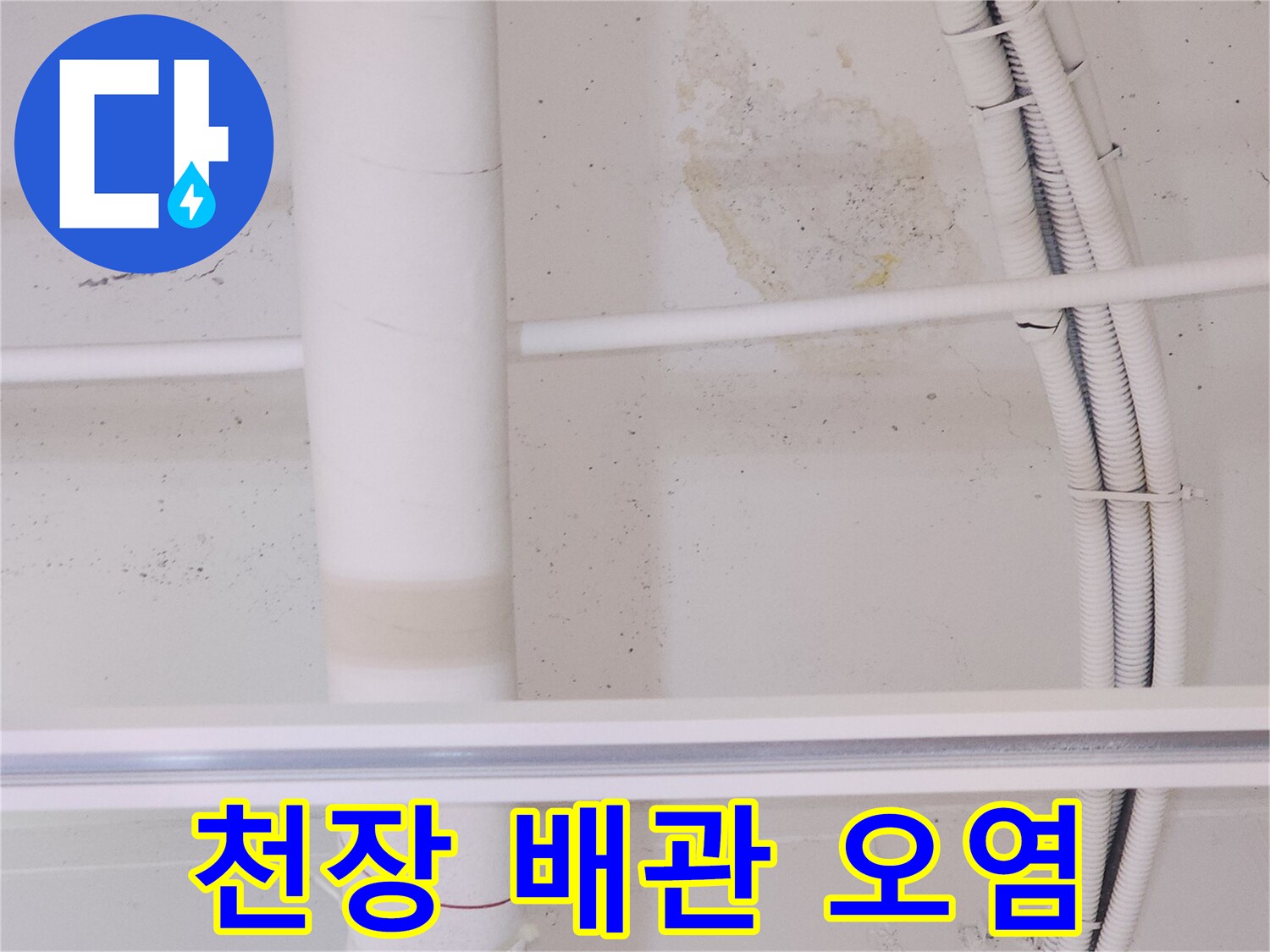 천장 배관 주변의 갈색 누수 흔적과 습기 상태
