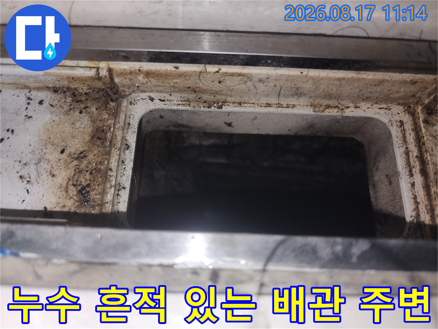 싱크대 하부 구조물-축축하게 젖어 오염된 배수구 주변 부위