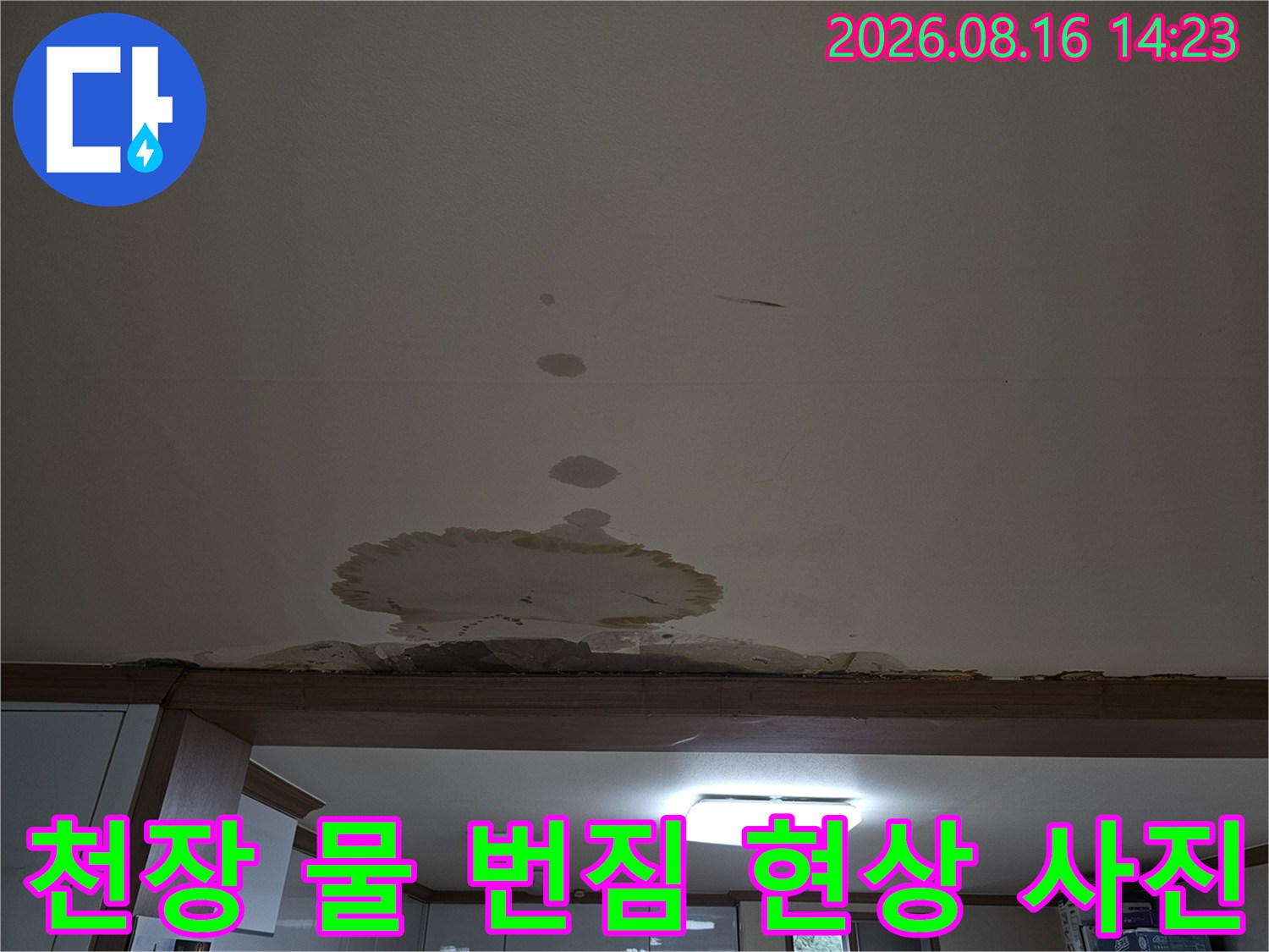 천장 마감재 위로 넓게 퍼진 누수 얼룩과 물자국