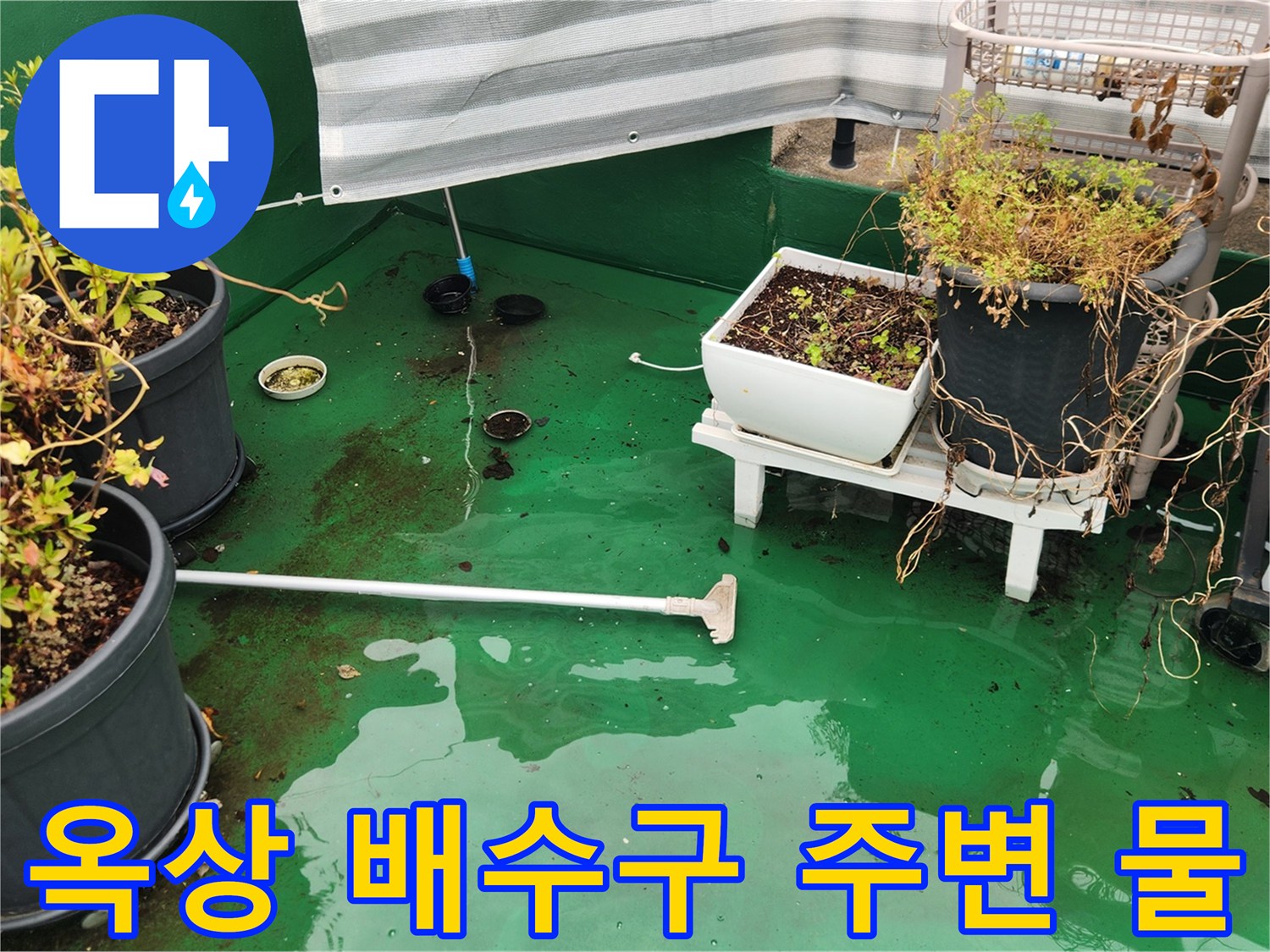 이물질로 인해 원활하지 못한 옥상 배수 상태