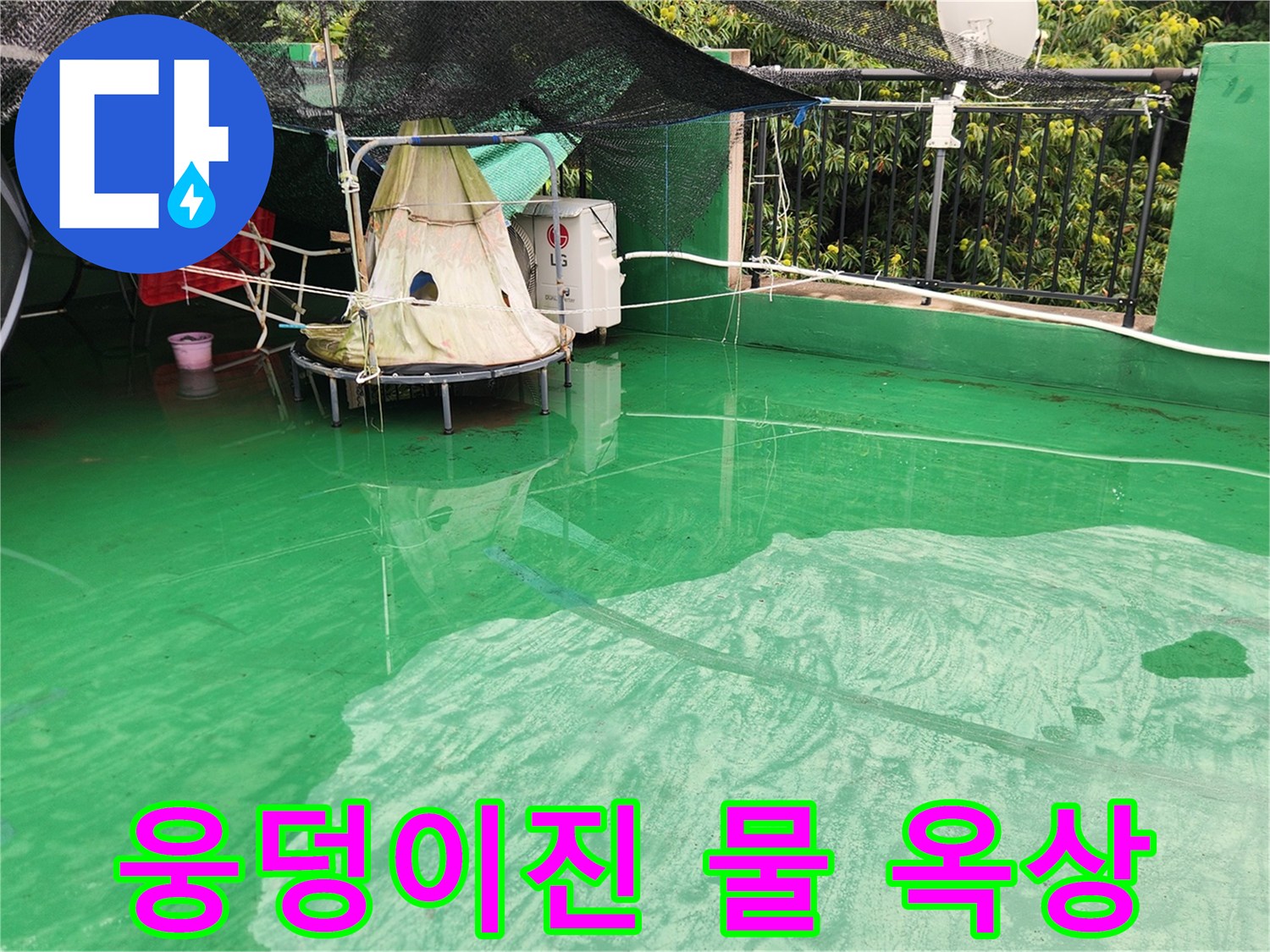 초록색 바닥에-고여있는-빗물 현장