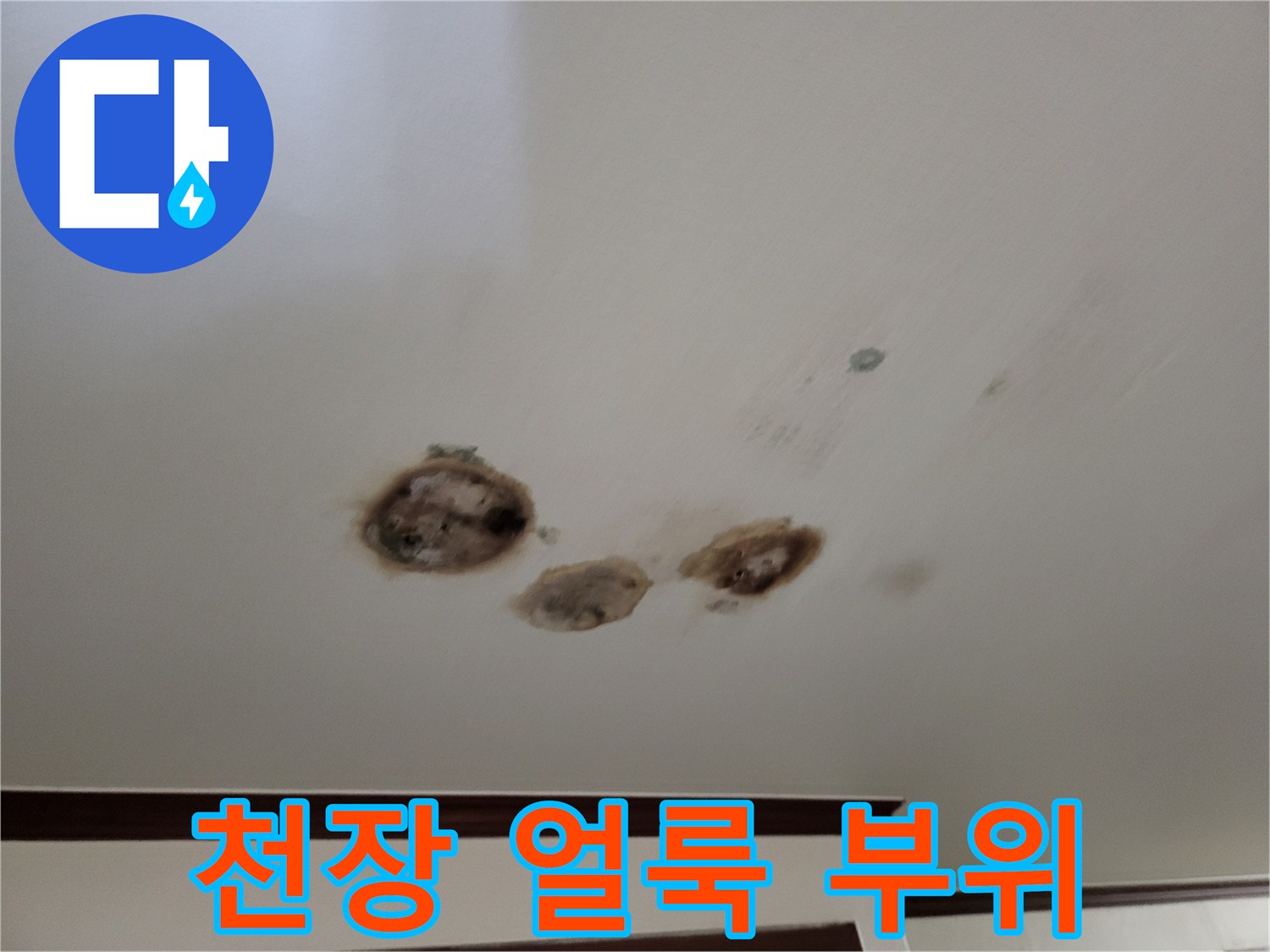 물에-젖어-변색된-천장-마감재