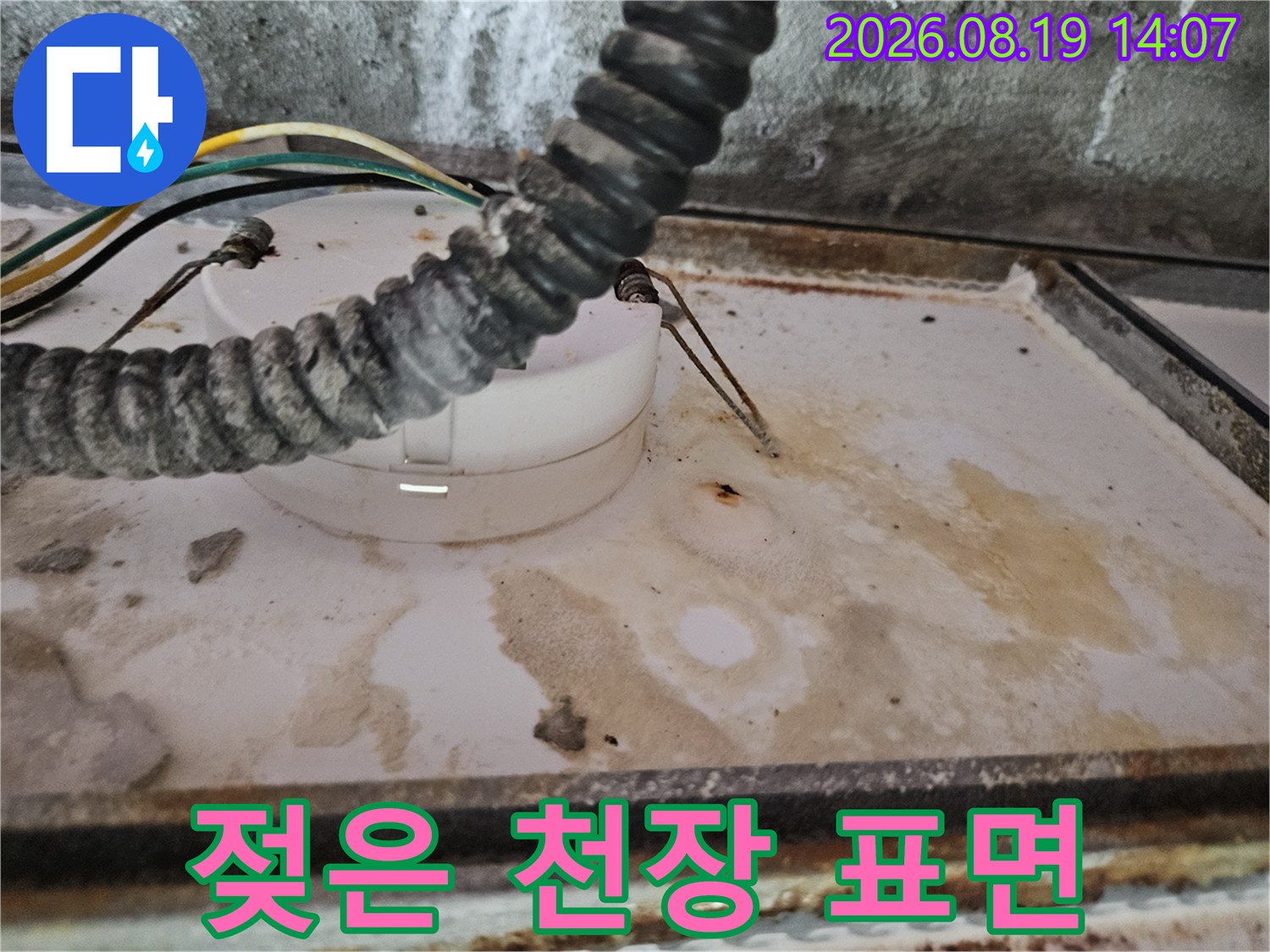 누수로 인해 습기가 침투한 천장 마감 부위