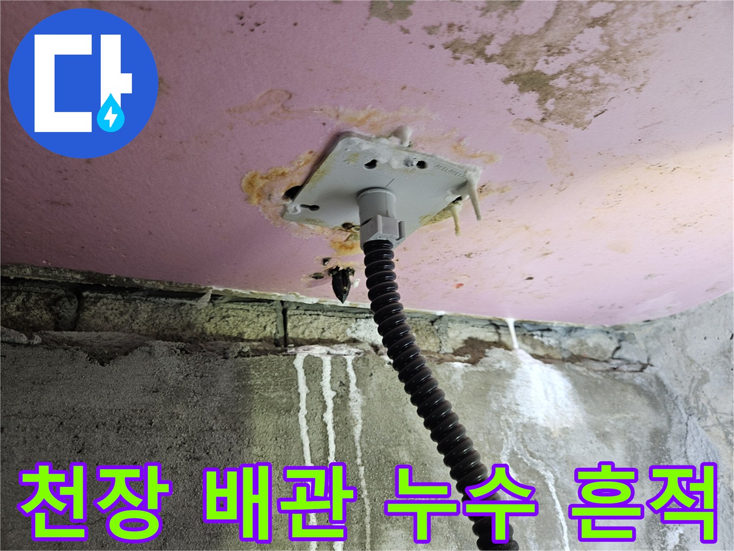 양주 옥정동 현장-천장 배관 주변 물때와 얼건 상태