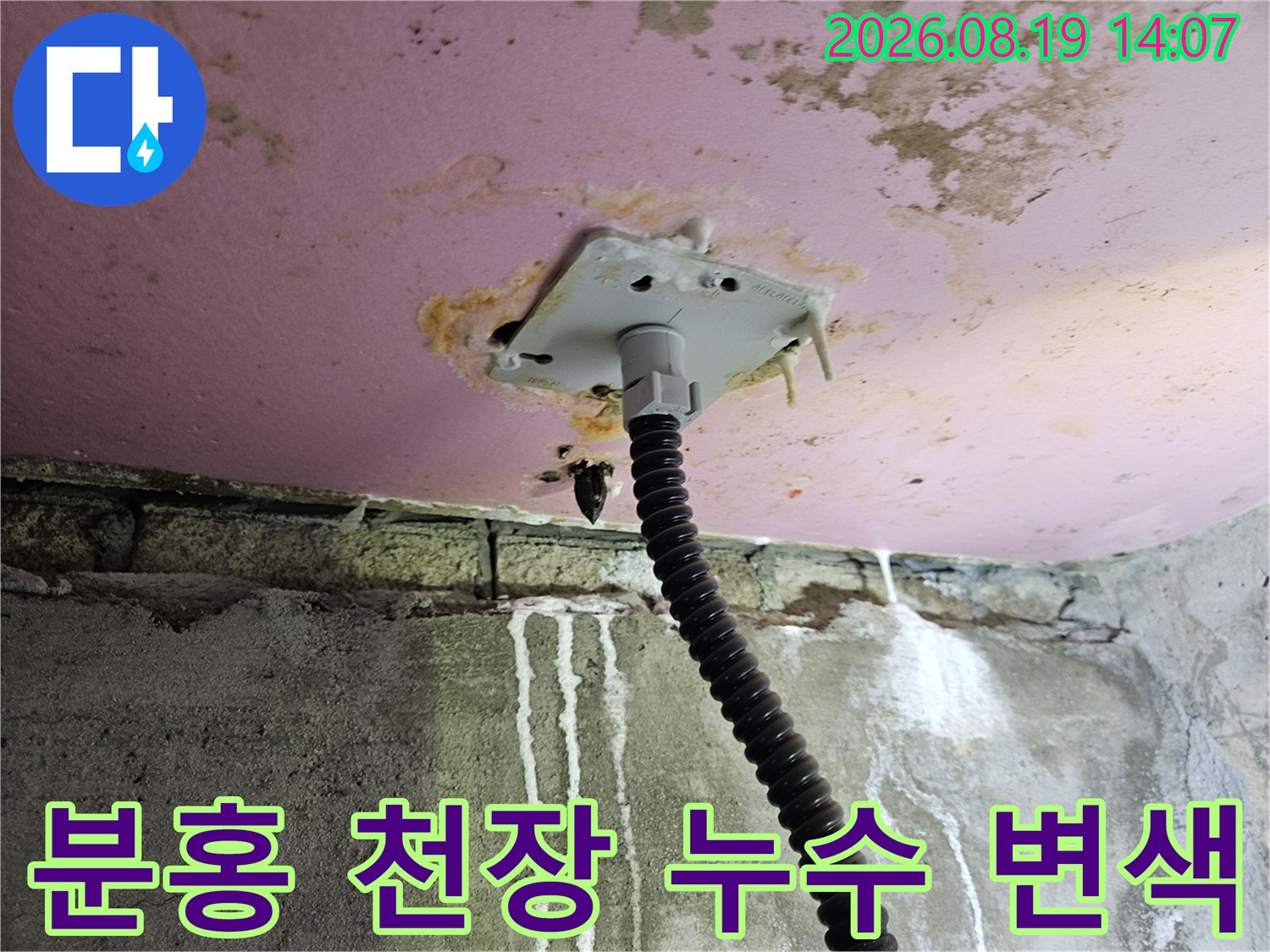 천장 배관 부속-물샘으로 인해 얼룩진 분홍색 천장 마감재