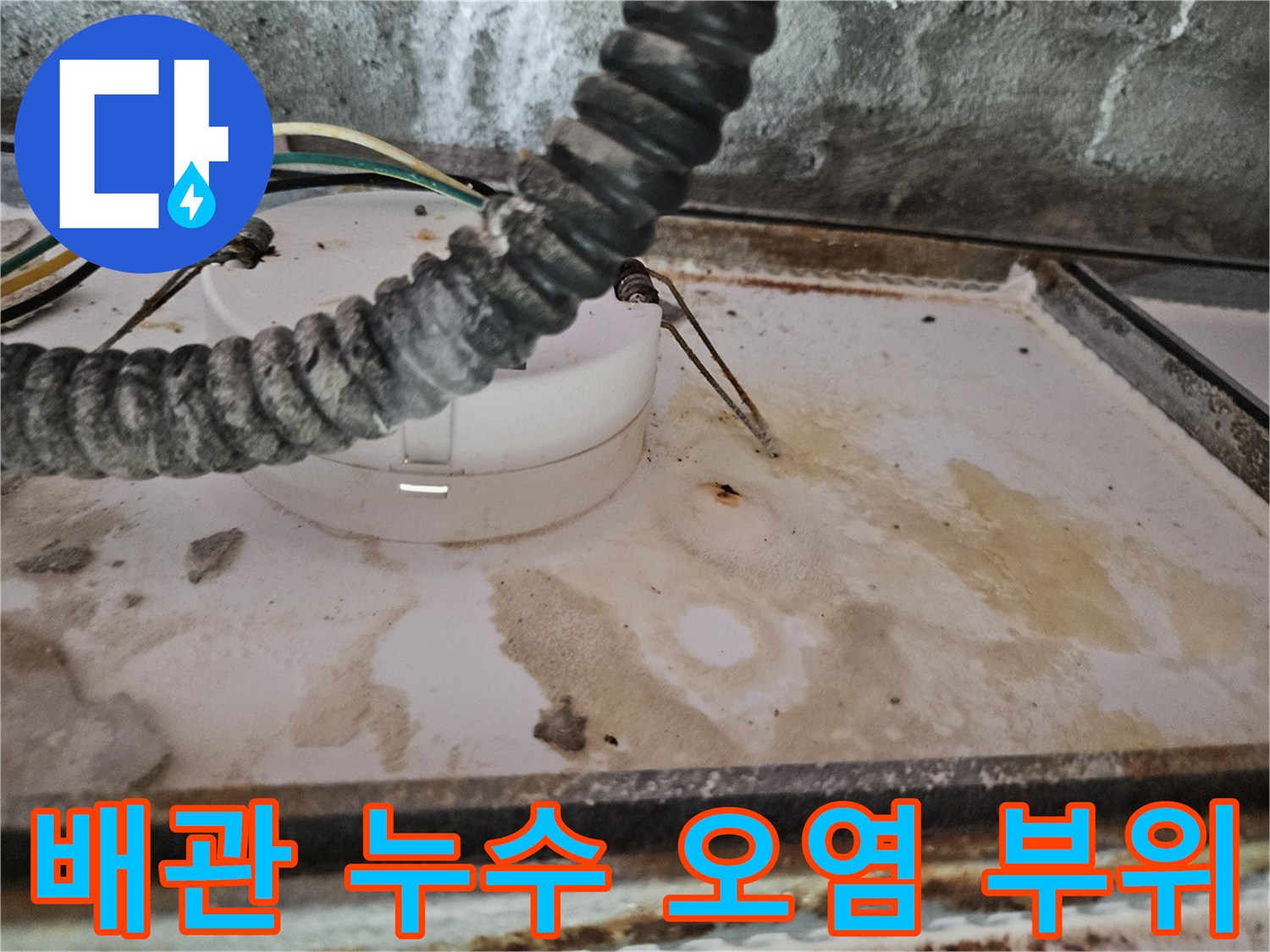 천장 배관 주변의 물때와 젖은 흔적 사진