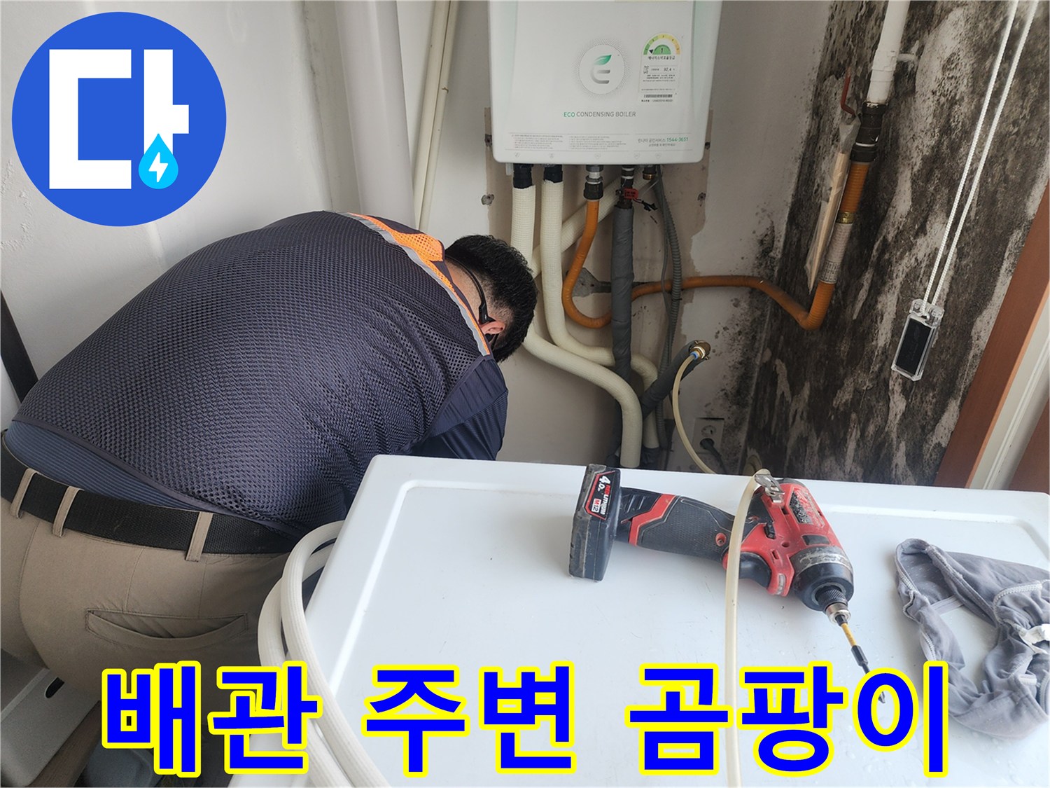 세탁실 배관 라인을 따라 나타난 곰팡이와 얼룩