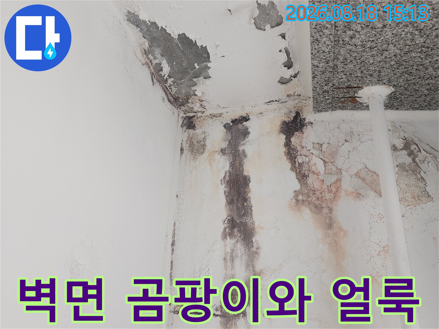 베란다 벽면-오래된 물자국과 곰팡이가 번진 현장 모습