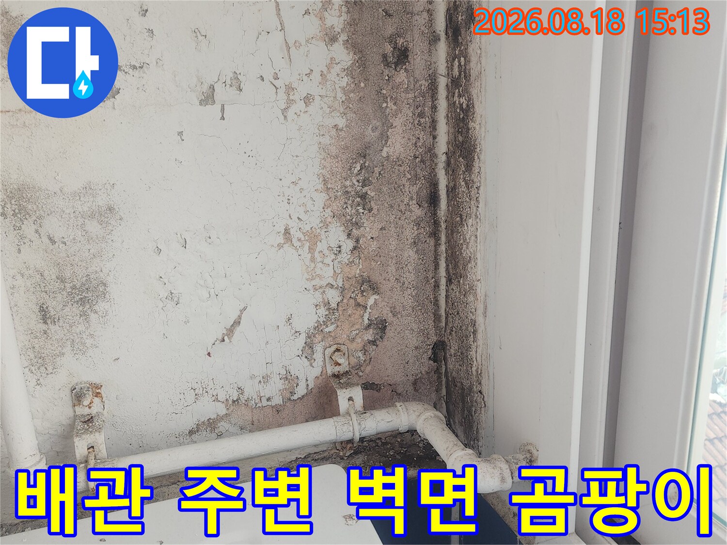 수직 배관 옆으로 번진 검은 곰팡이와 습기 오염