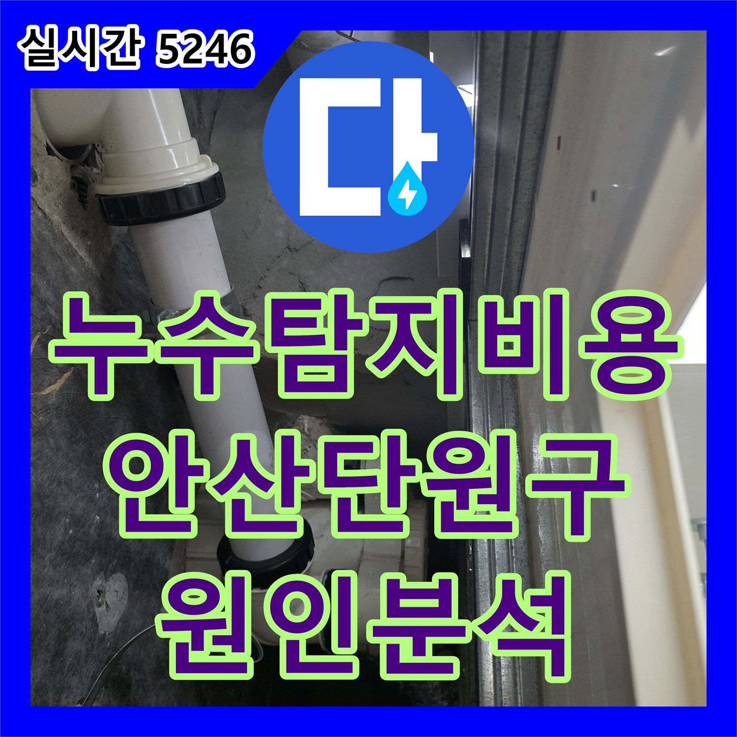 누수탐지비용 발생 전 육안 검사와 전문 장비를 활용해 원인을 규명한 경기 안산시 단원구 선부동