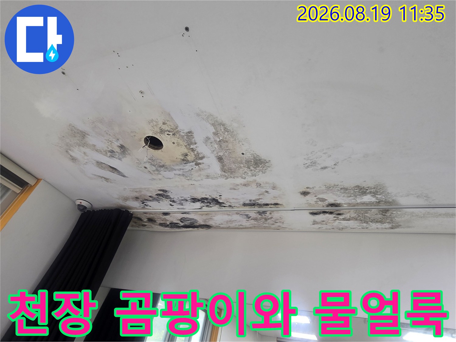 천장 마감재에 나타난 검은 곰팡이와 수분 침투 흔적