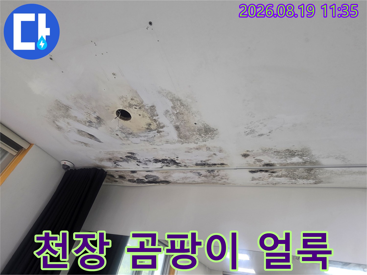 천장 조명 주변-심한 곰팡이와 물자국 흔적