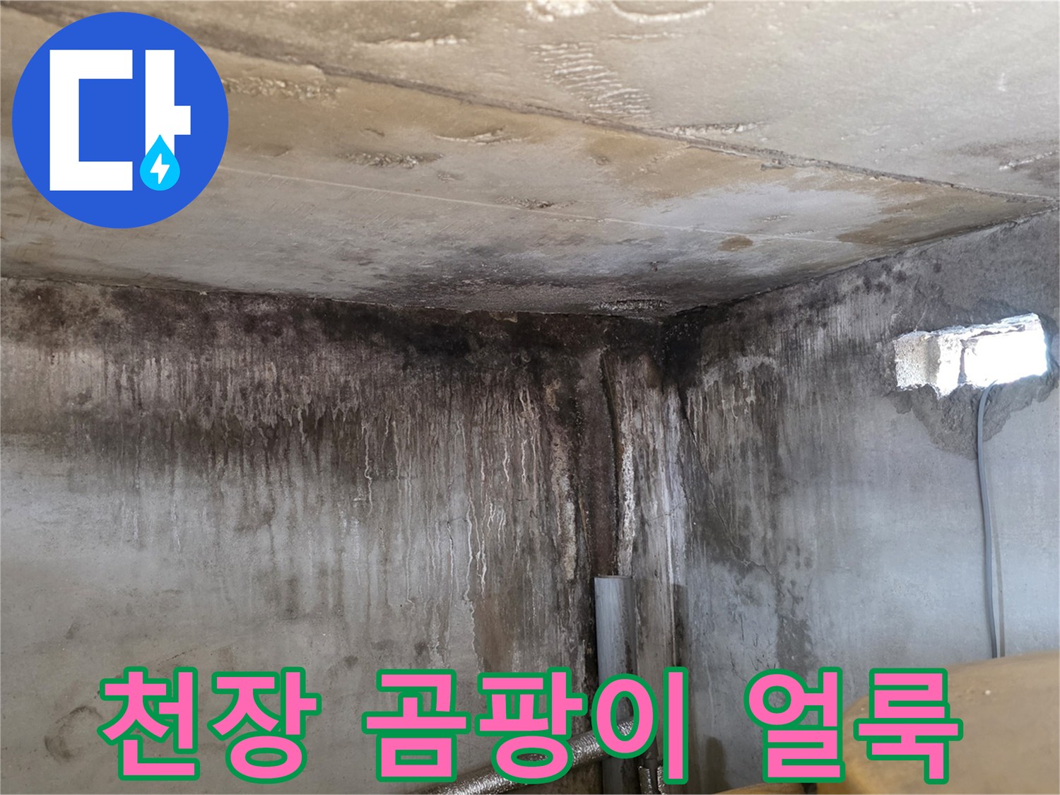 포천 신읍동 빌라 천장 벽면의 심한 곰팡이와 습기 흔적