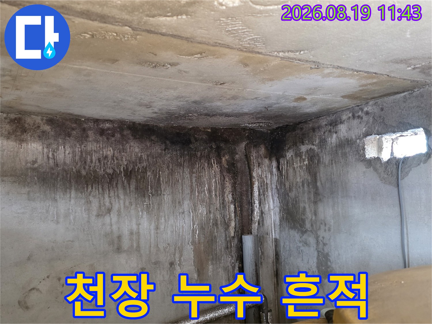 포천 신읍동 현장-습기와 곰팡이로 오염된 욕실 천장 및 벽면 부위