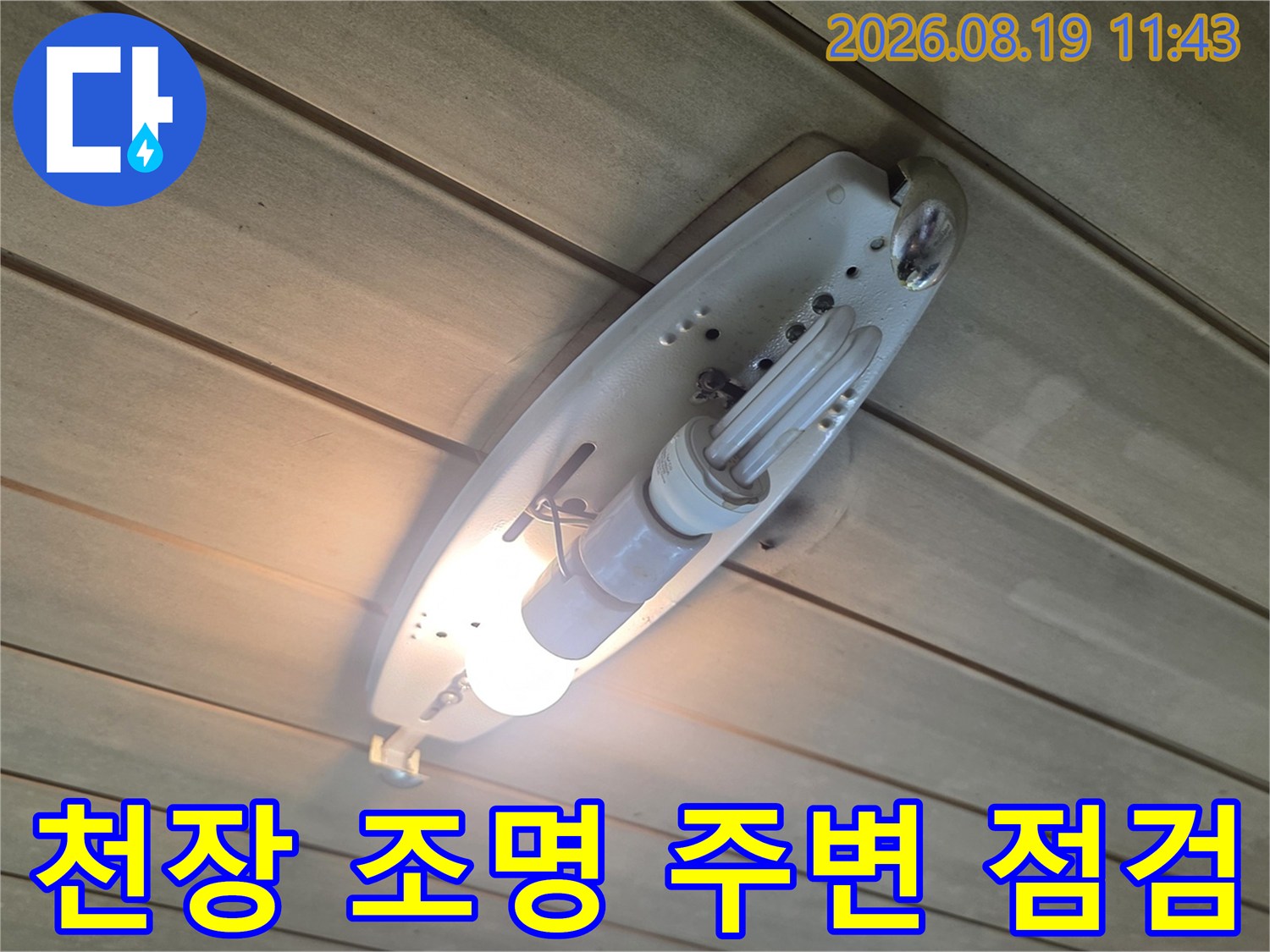 포천 신읍동 현장-욕실 천장 마감재와 조명기구 상태 확인