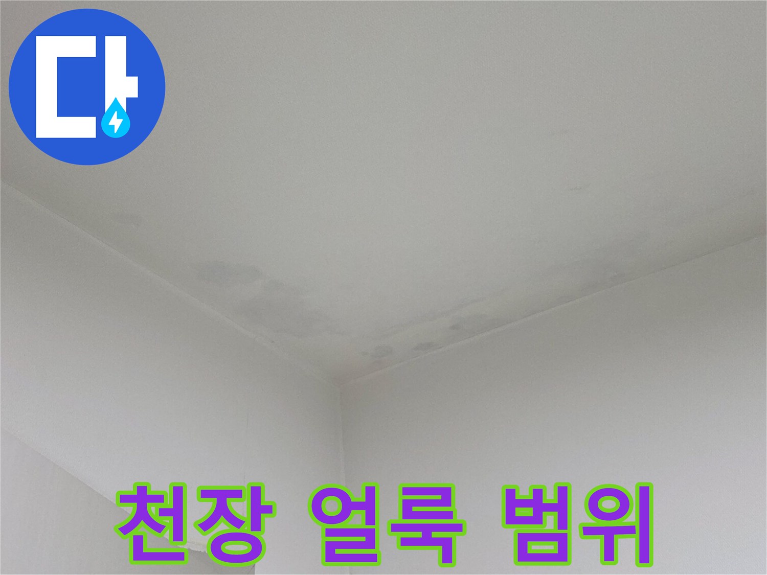 천장 전체적인 상태-누수로 인해 발생한 넓은 얼룩 부위